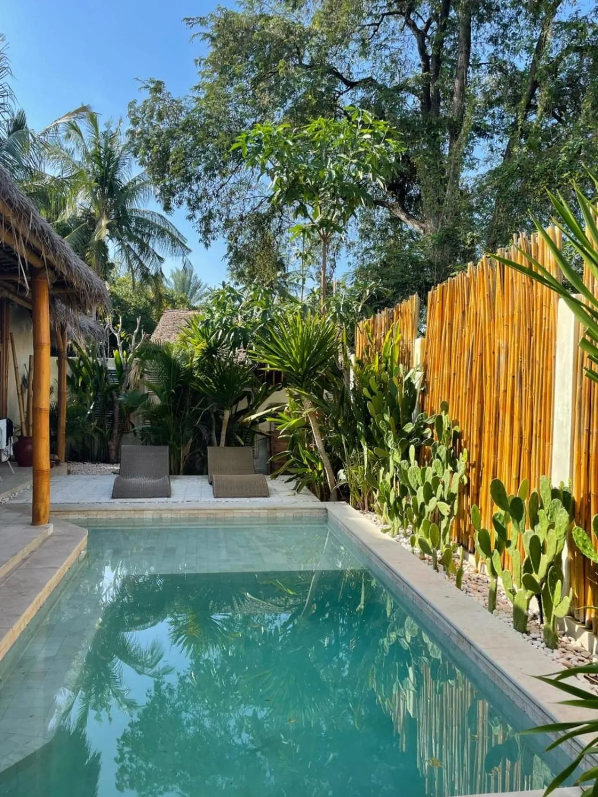 Tipsea Turtle Gili Air