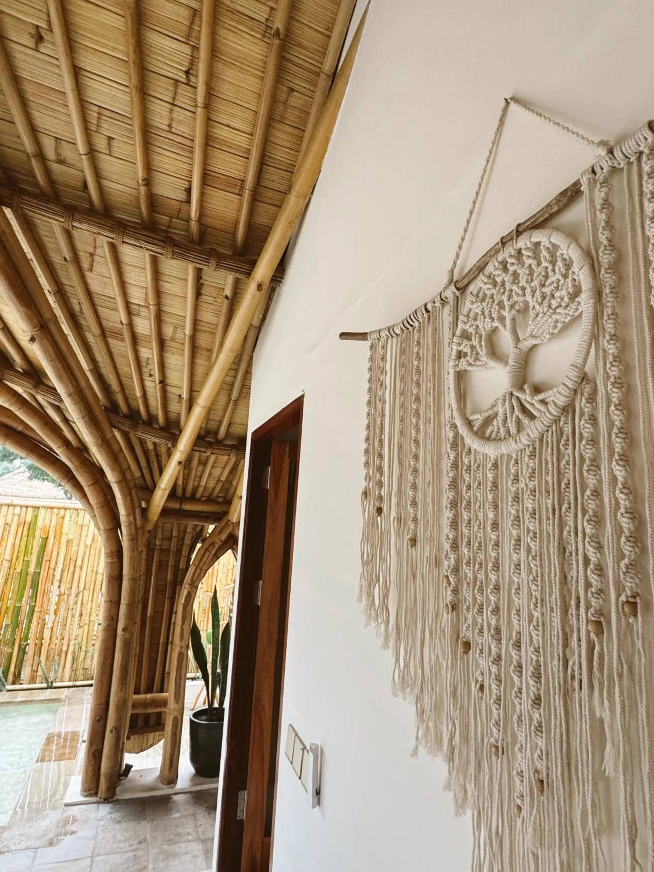 Tipsea Turtle Gili Air