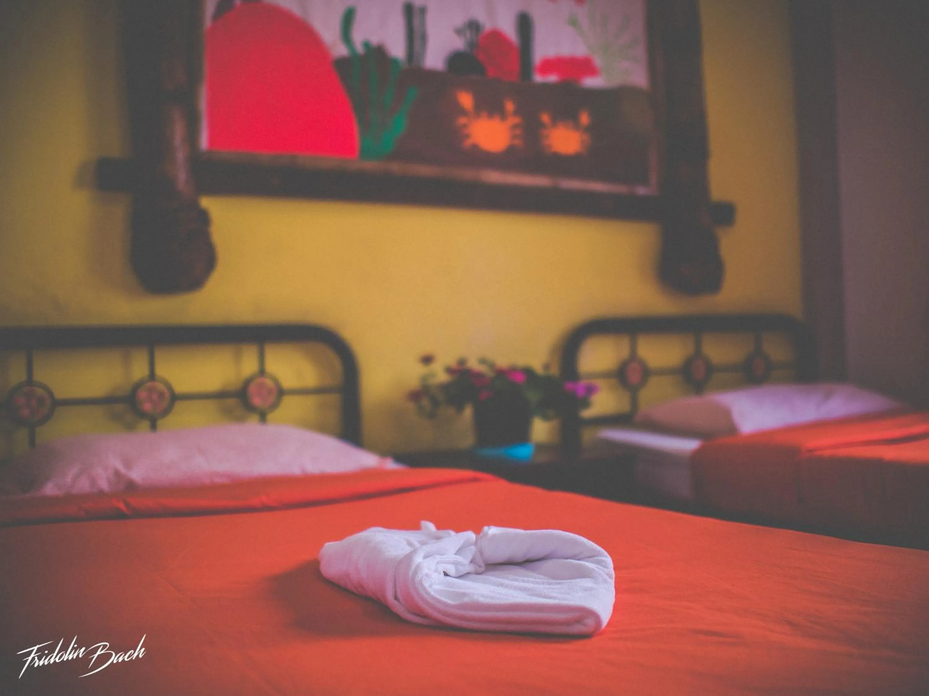 Bedroom, Bed in Trekker Camp