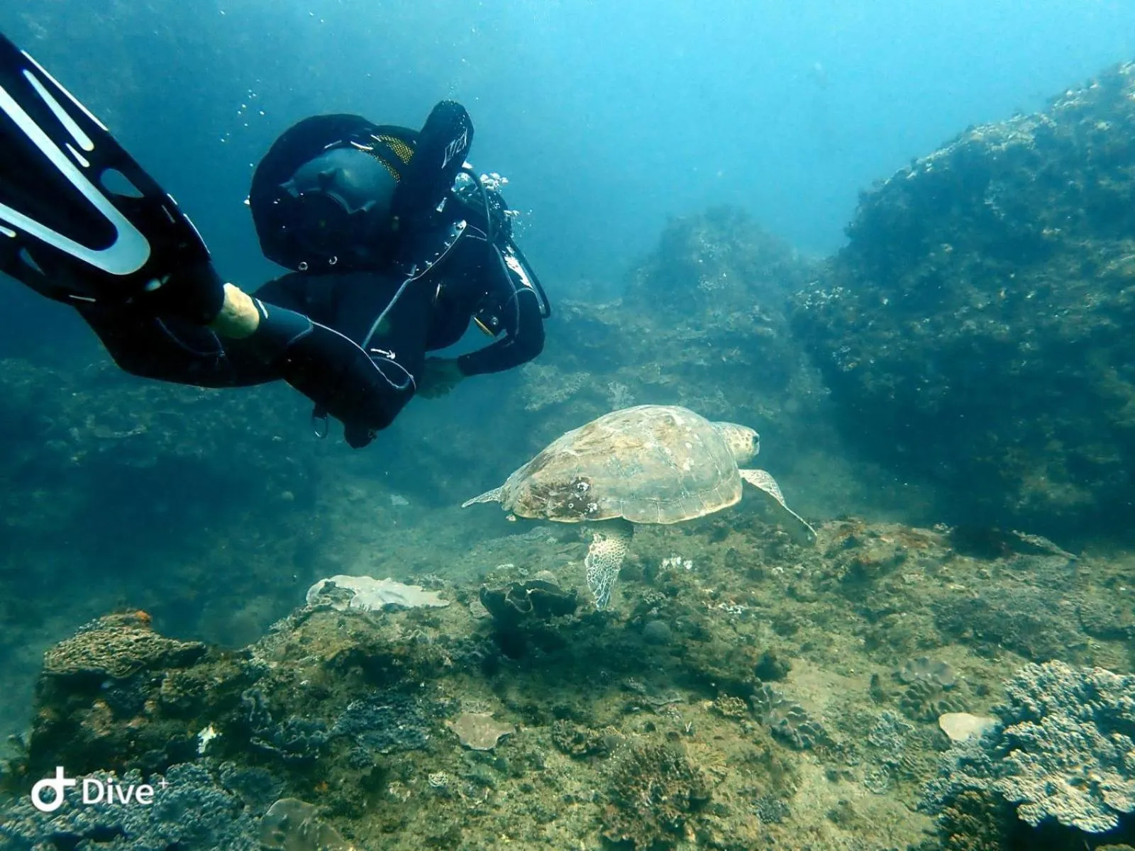 Natural landscape in SeaXplore Lodge & Dive Center
