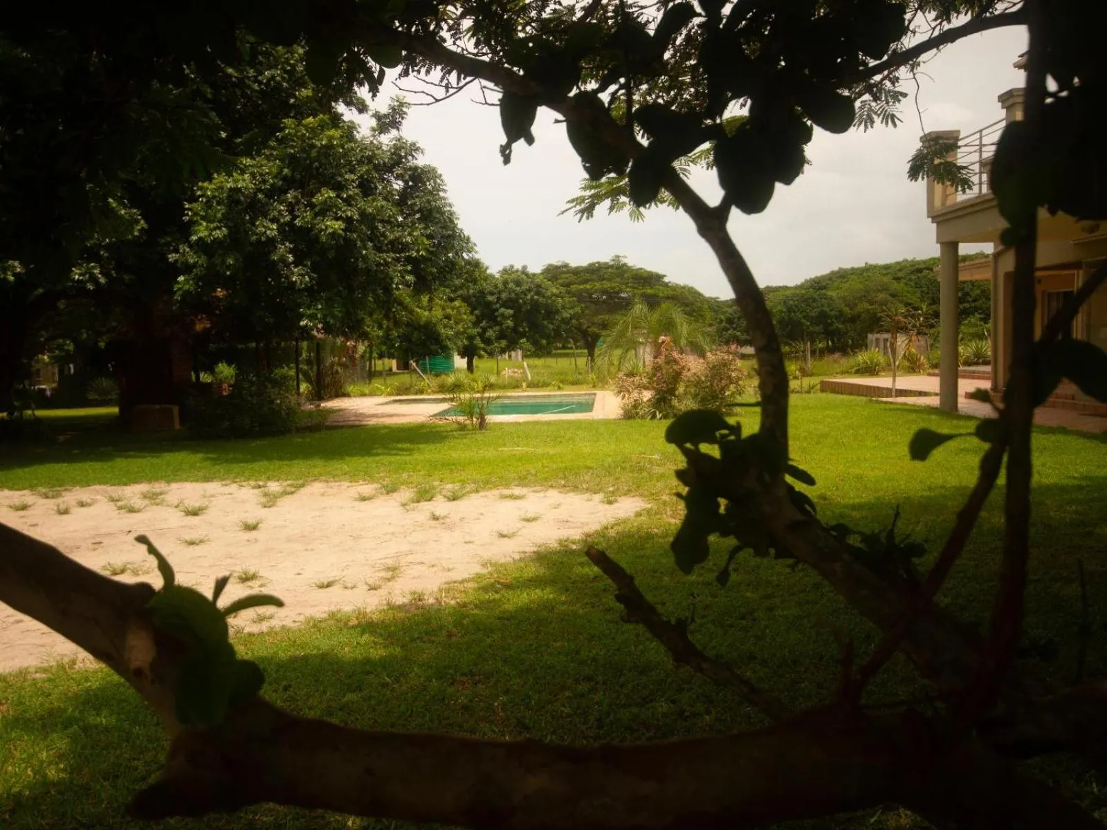 Garden in SeaXplore Lodge & Dive Center