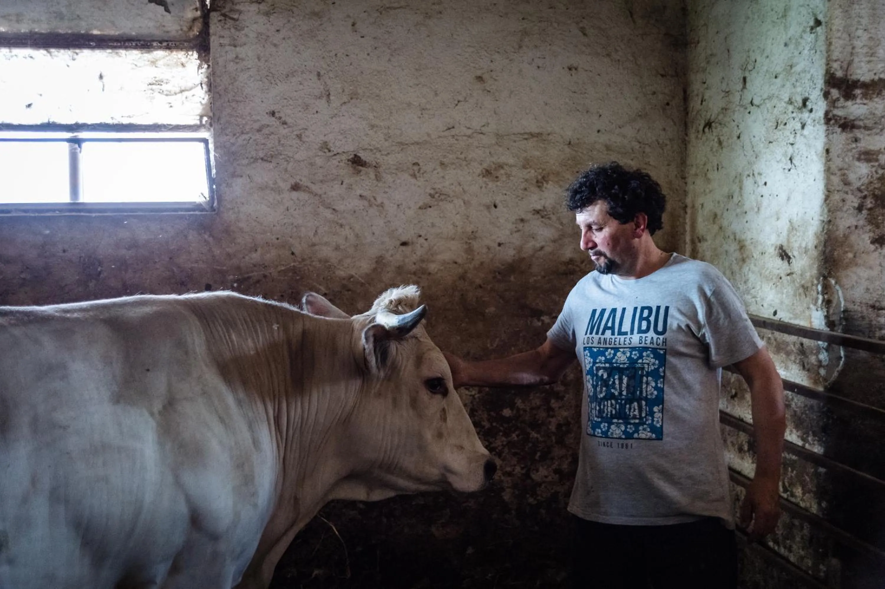 Animals in All'Ombra del Castello