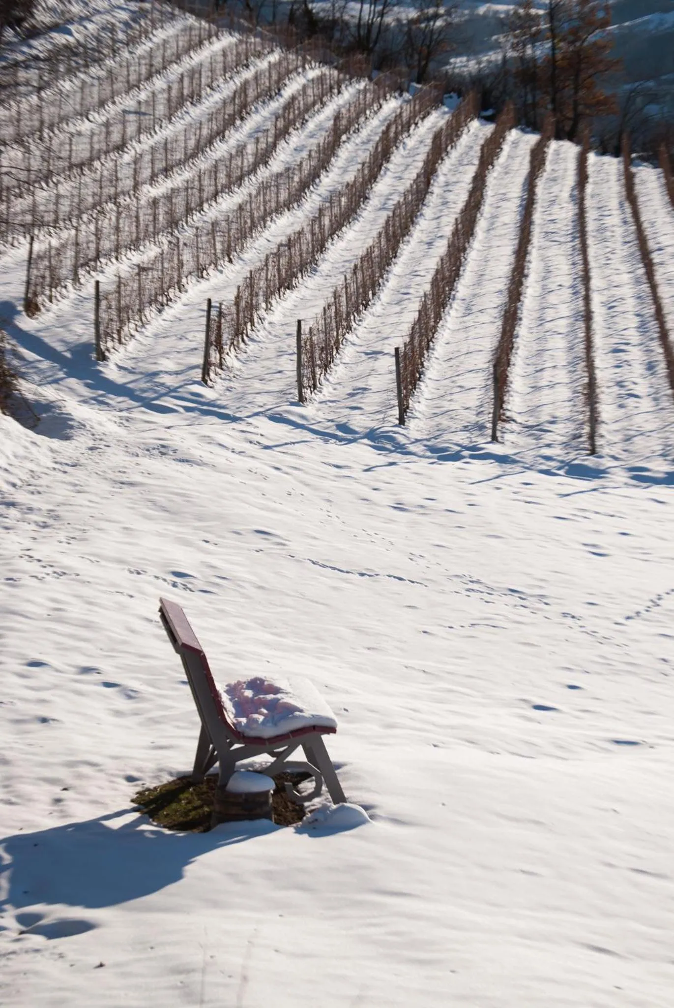 Neighbourhood in All'Ombra del Castello