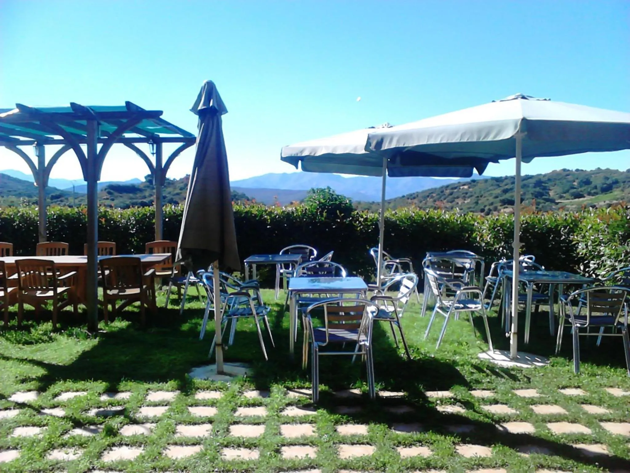 Garden in Hotel Medulio