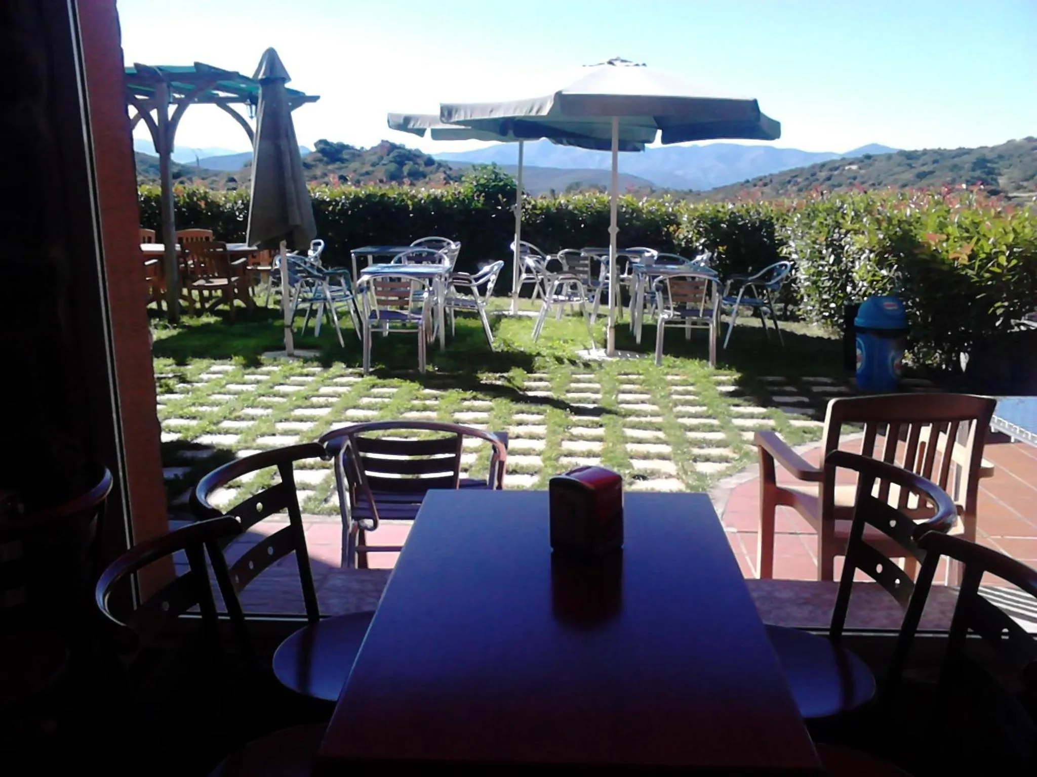 Garden in Hotel Medulio