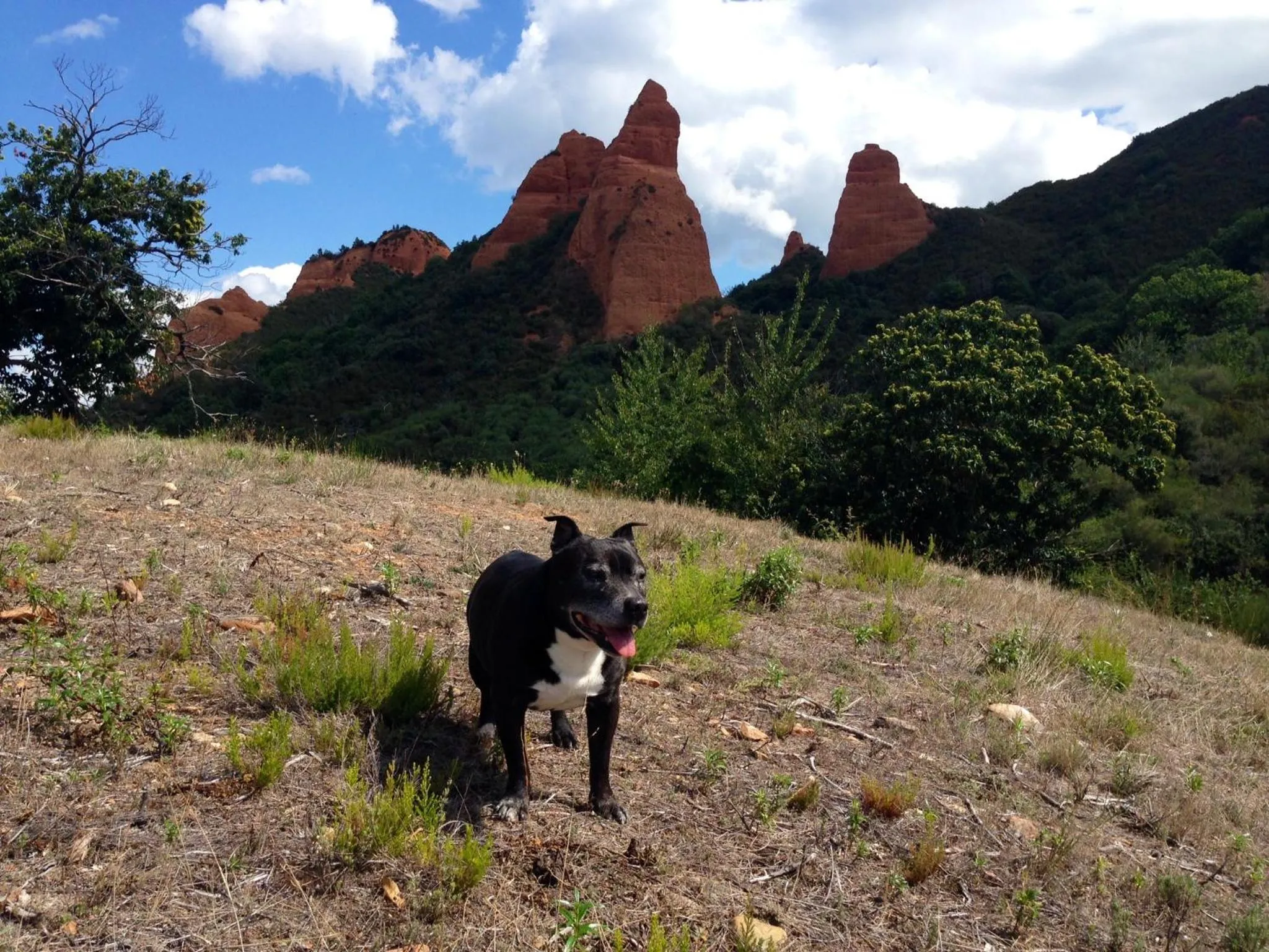 Hiking in Hotel Medulio