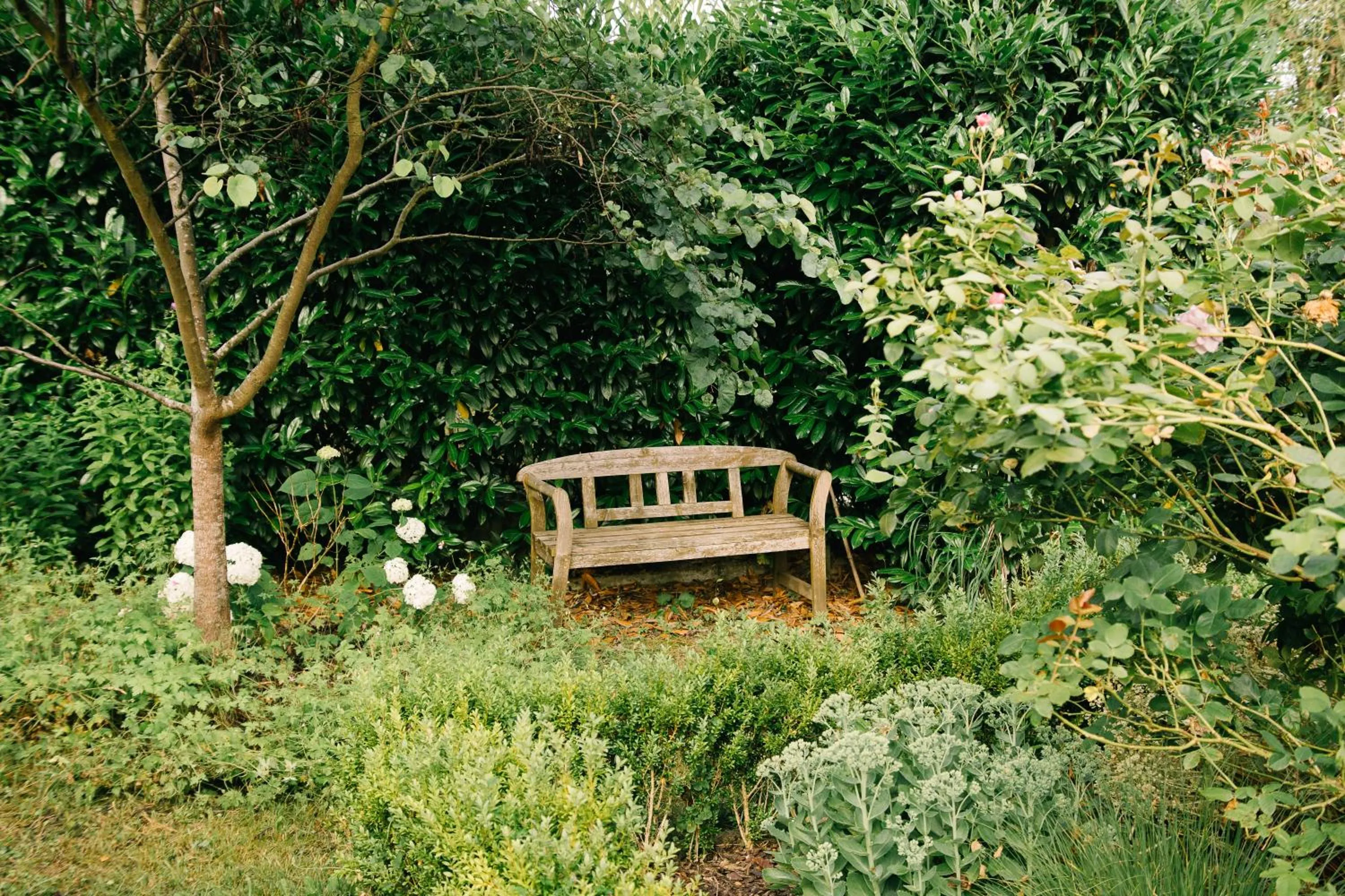 Garden in Landhaus Keller - Hotel & Restaurant