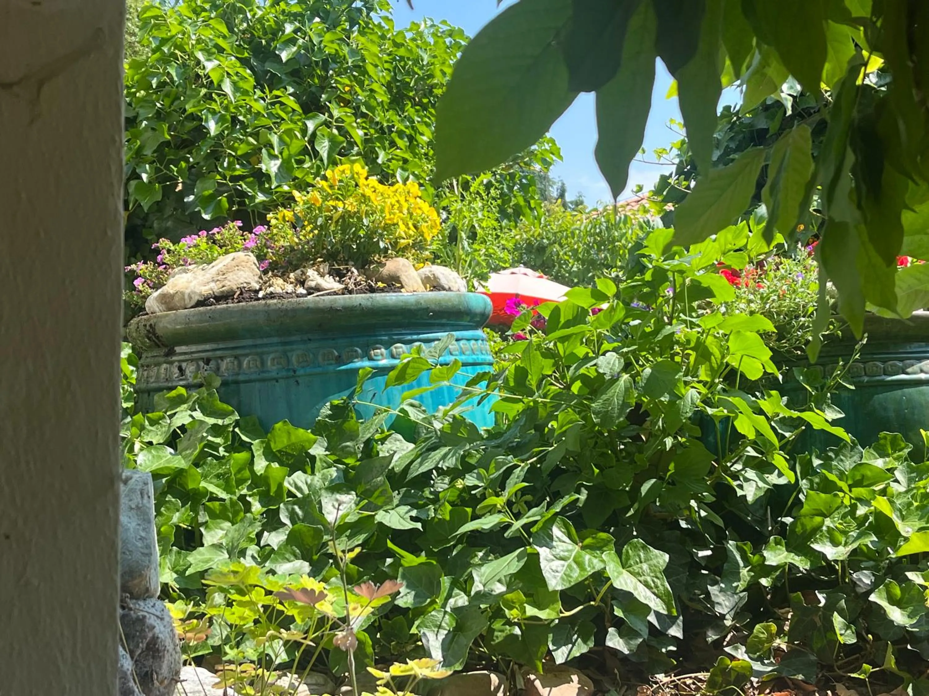 Spring in Bed and Breakfast Bavaria München