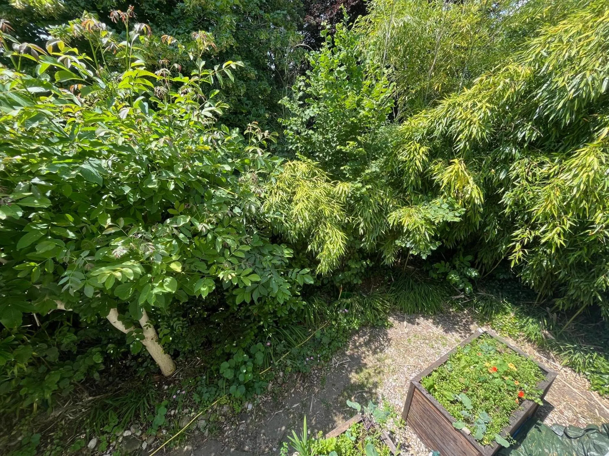 Spring in Bed and Breakfast Bavaria München