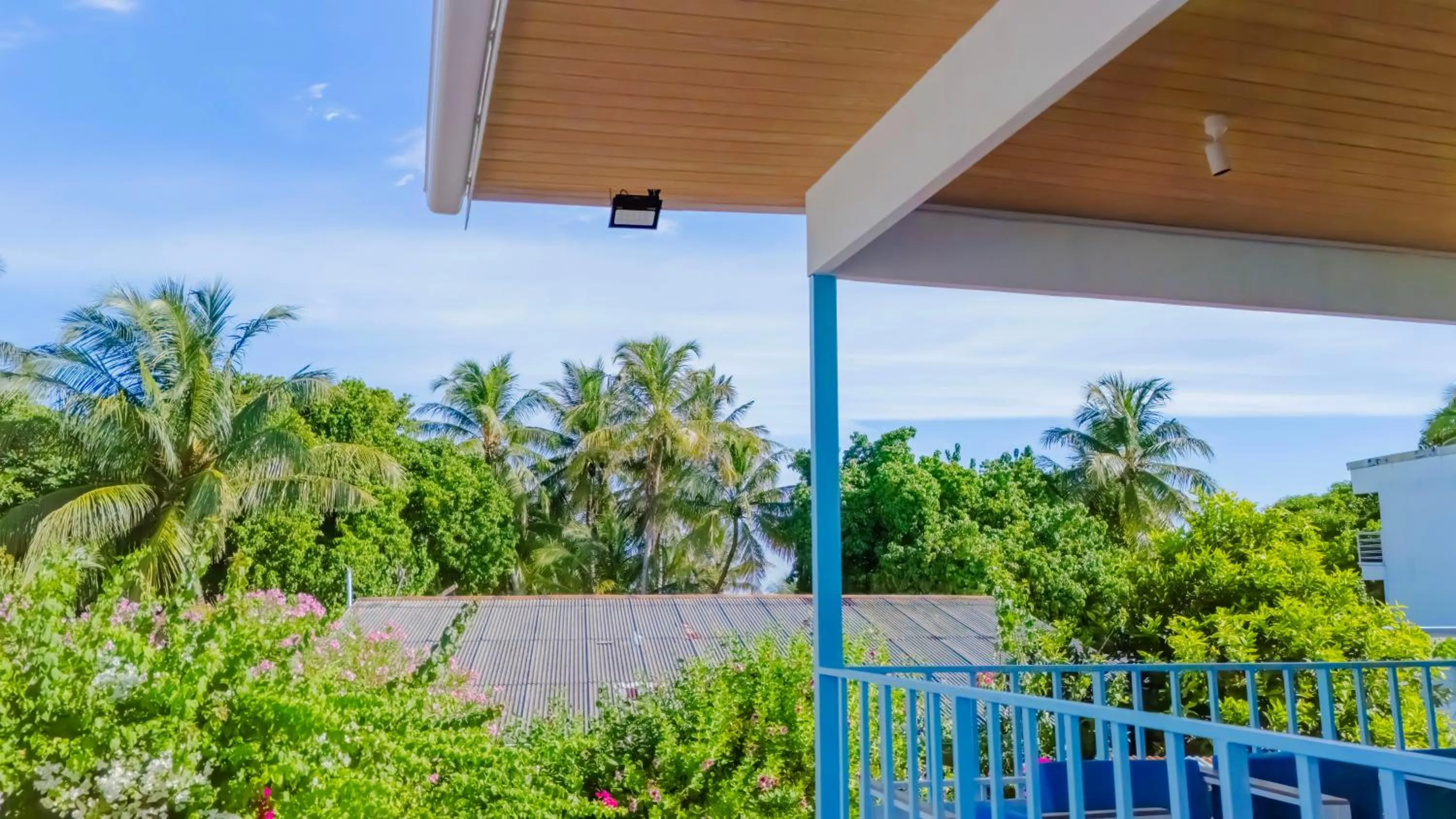 Property building in Alkina lodge