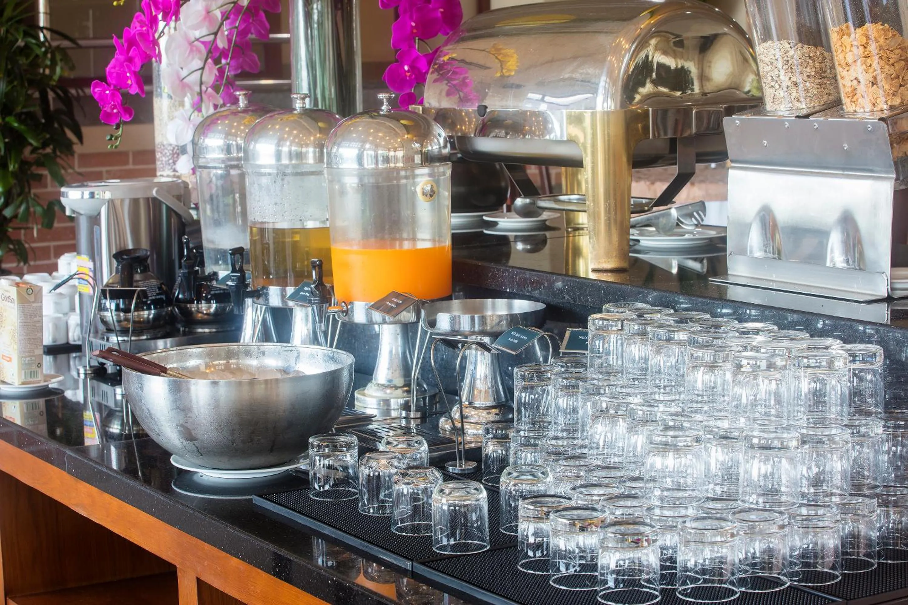 Food and drinks in Beachfront Hotel