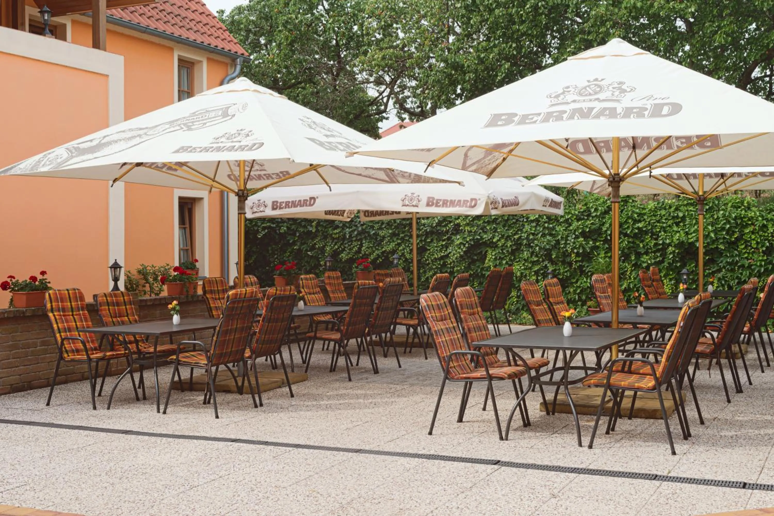 Restaurant/places to eat in Hotel Pavlov