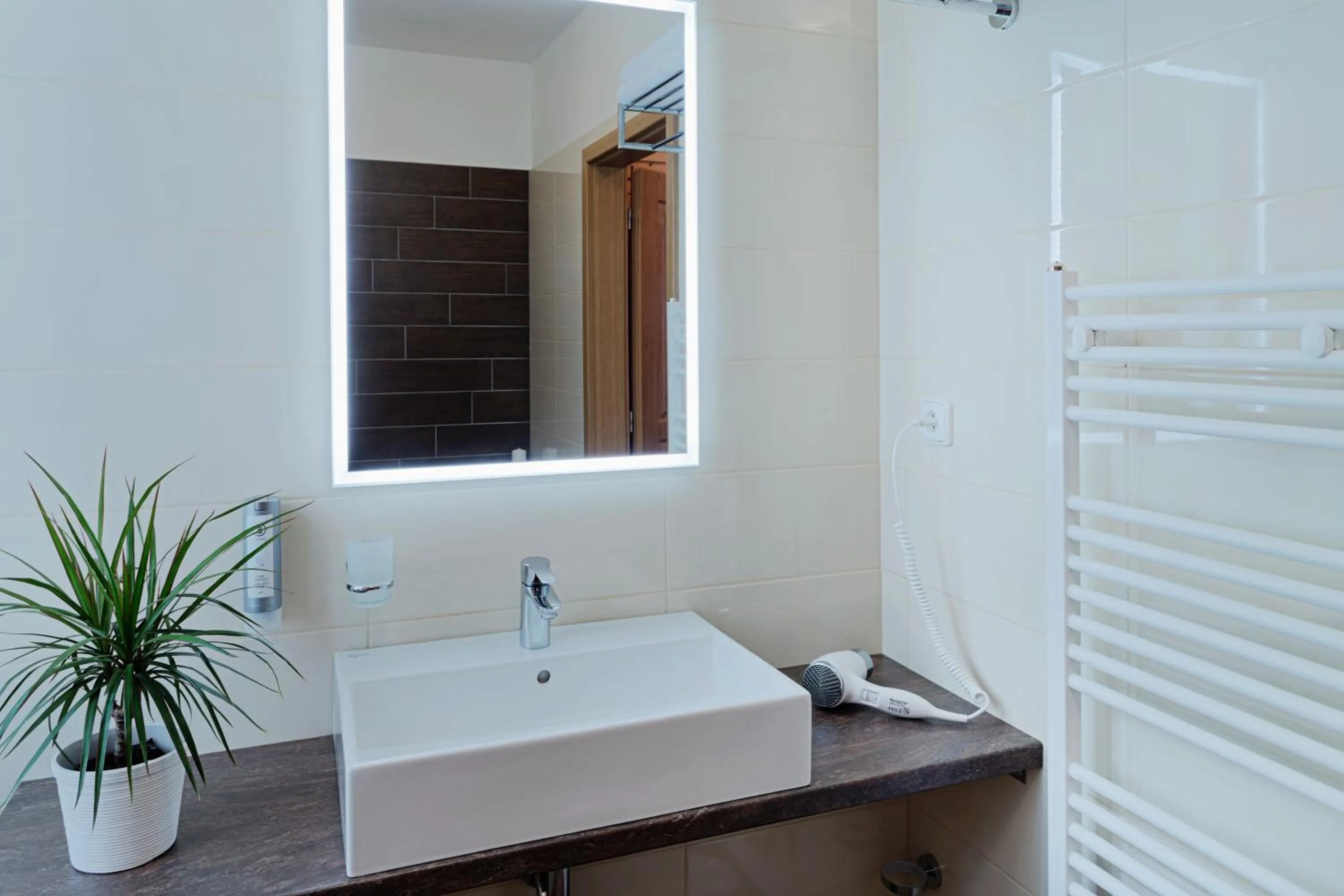 Bathroom in Hotel Pavlov