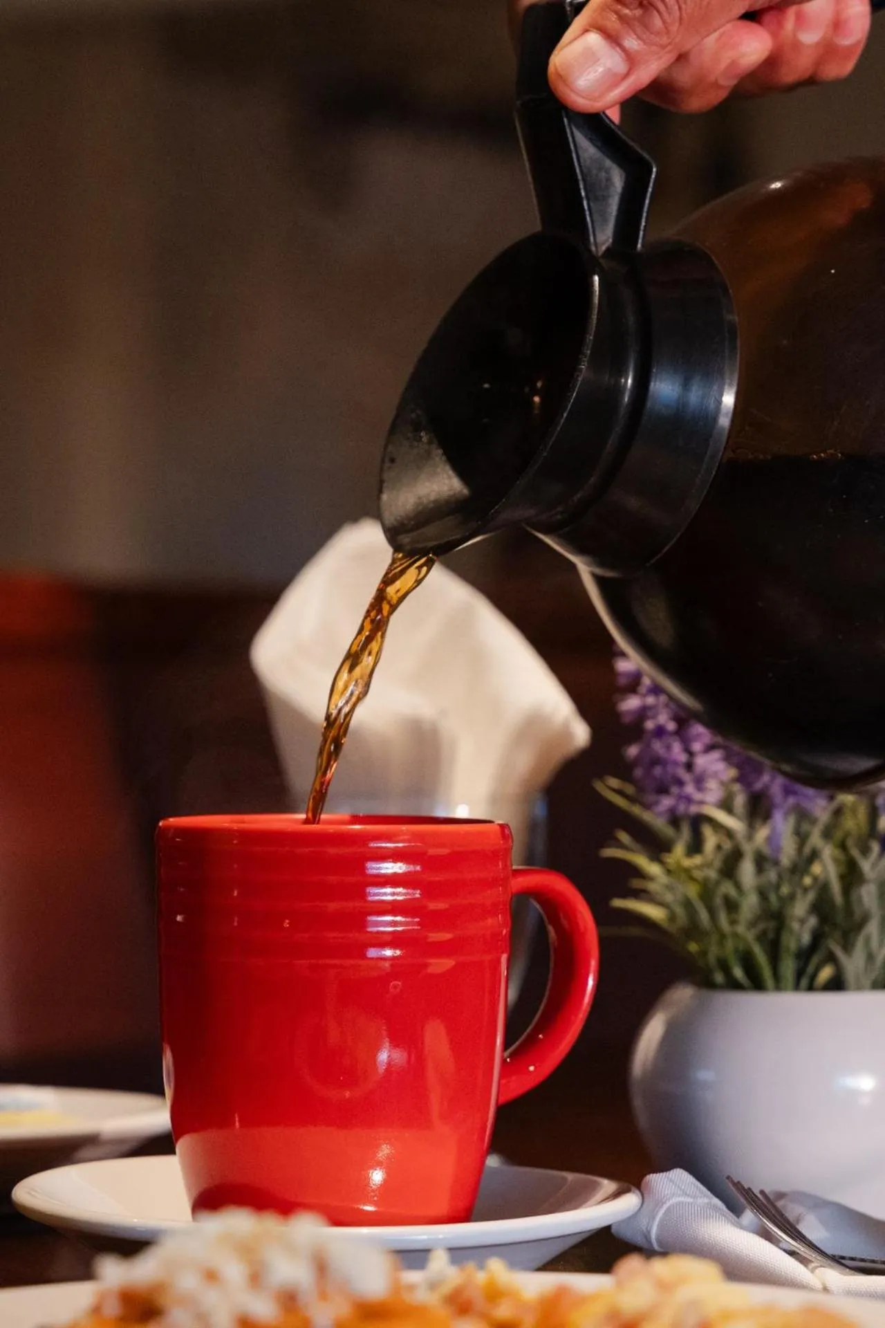 Restaurant/places to eat in Hotel San Antonio