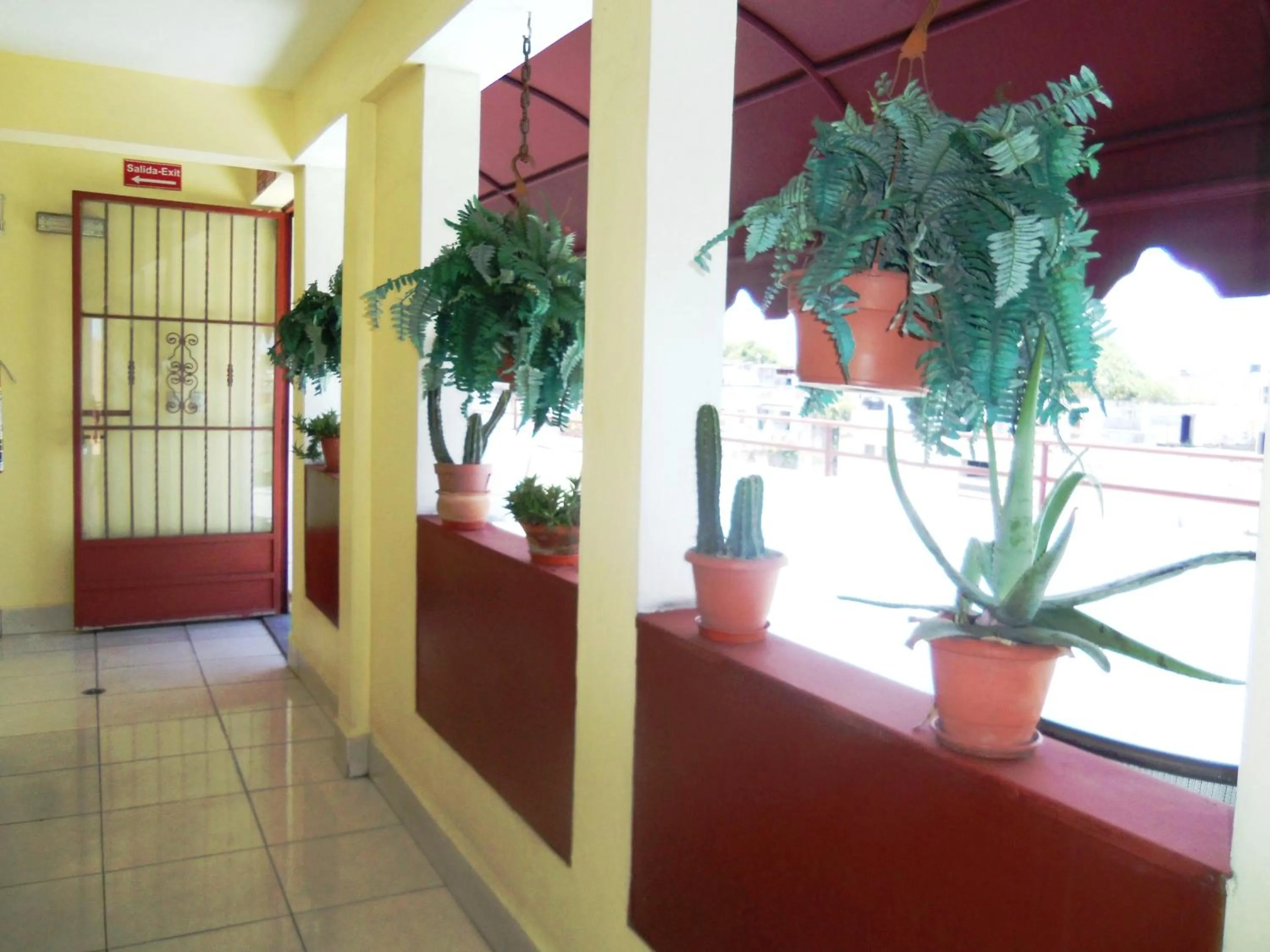 Balcony/Terrace in Hotel Discovery