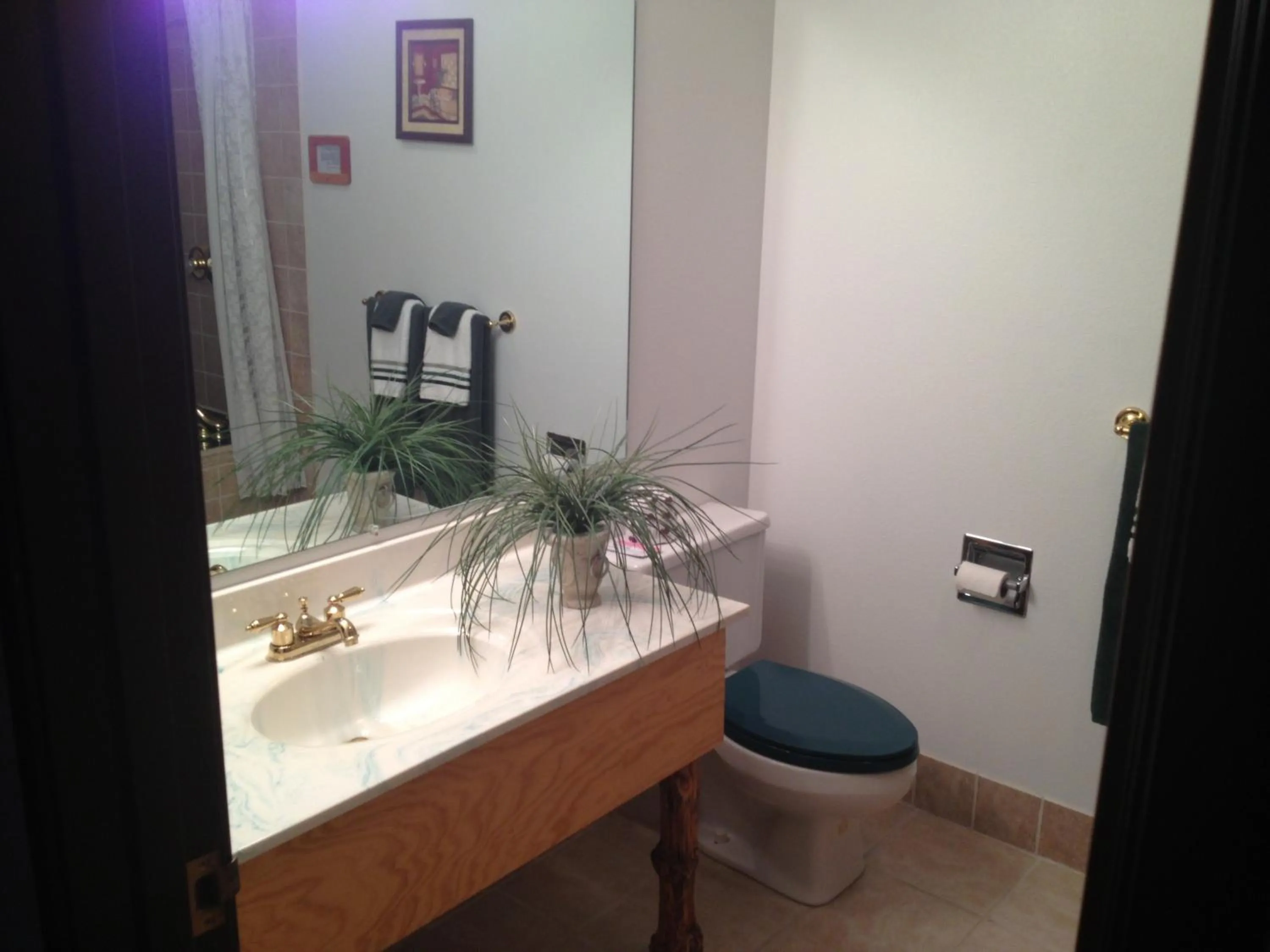 Toilet in Buffalo Bill's Antlers Inn