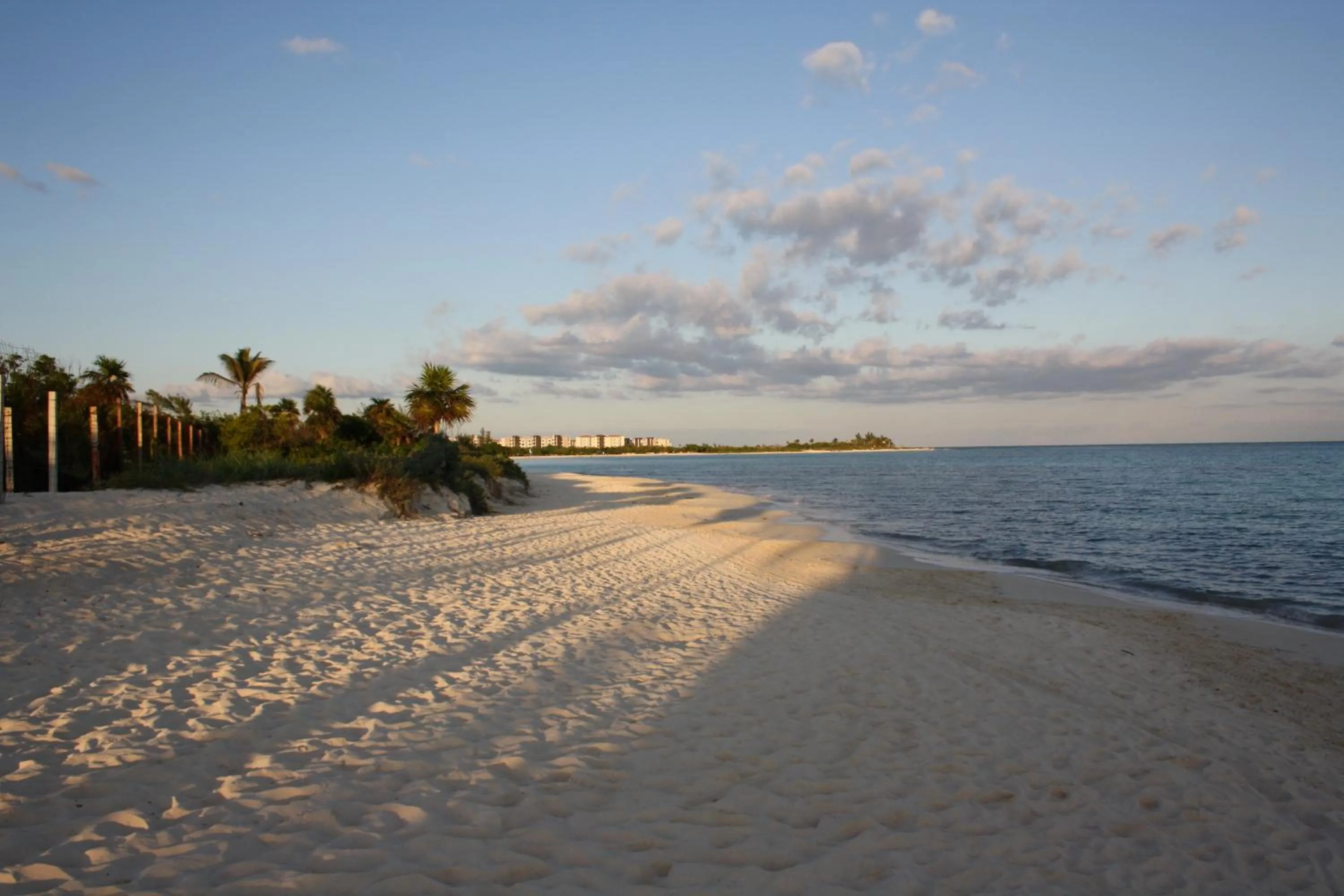 Beach in Hotel Sol Playa