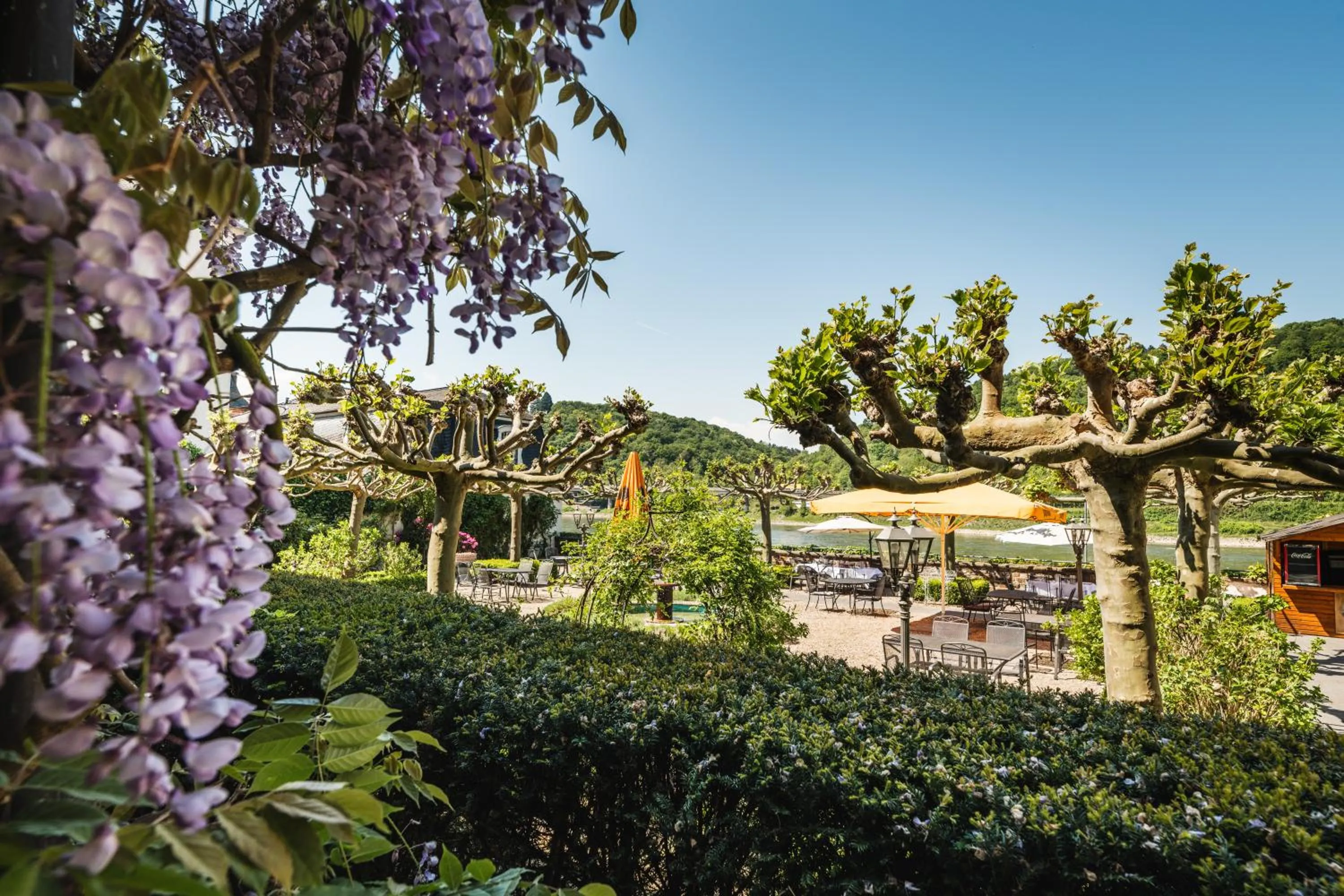 Natural landscape in Rheinhotel Schulz