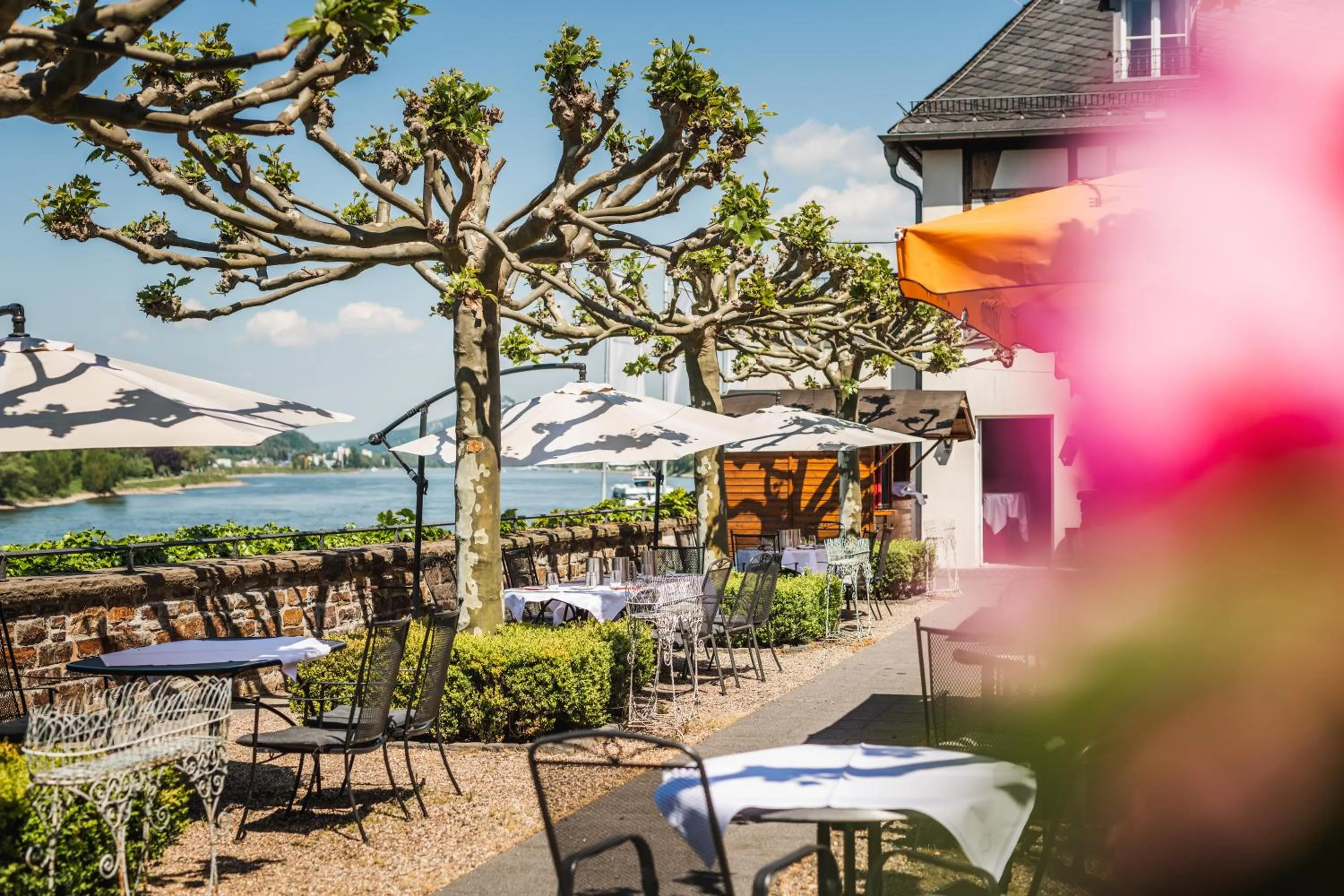 Patio in Rheinhotel Schulz