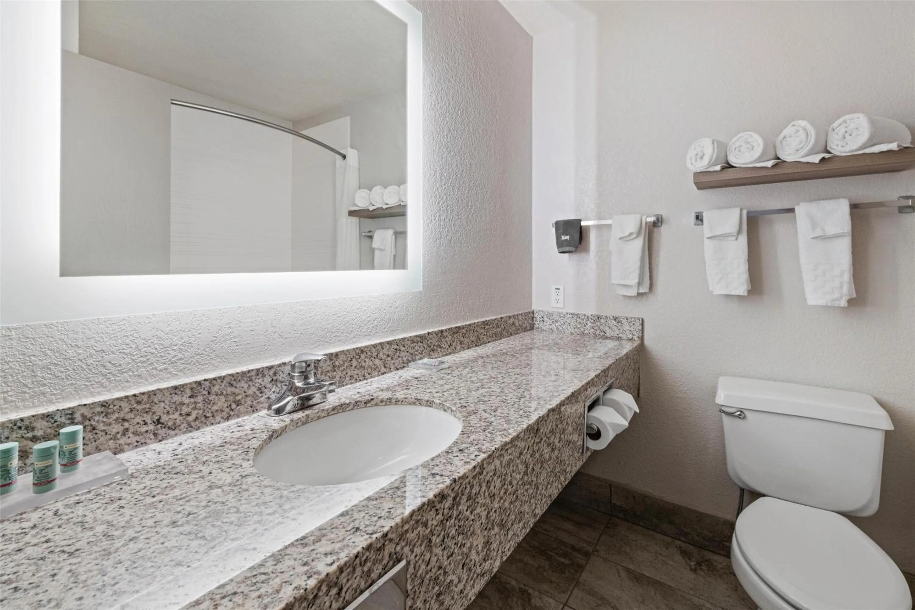 Bathroom in Best Western Eau Claire South