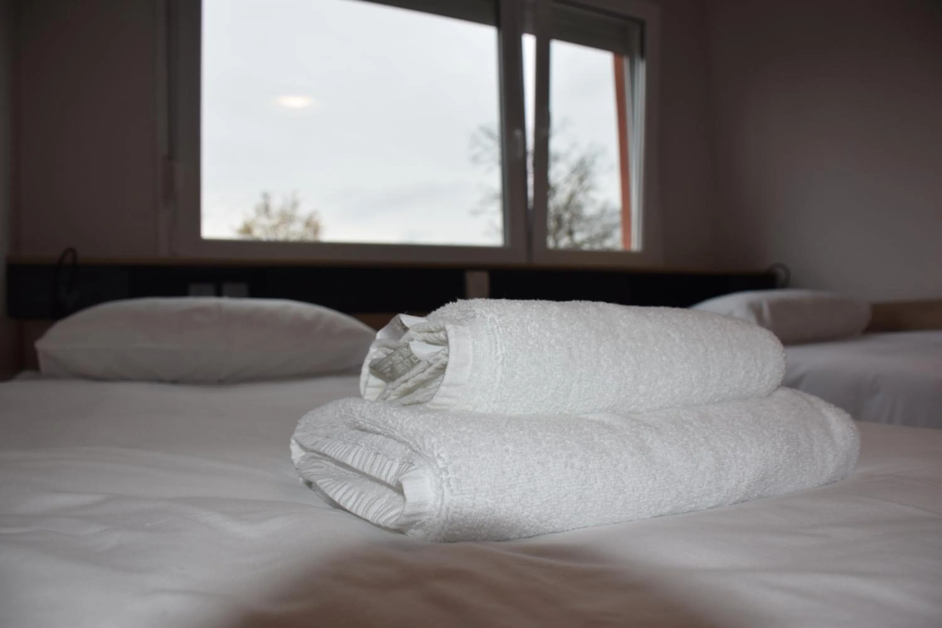 Double Room in Accommodation Vitalis