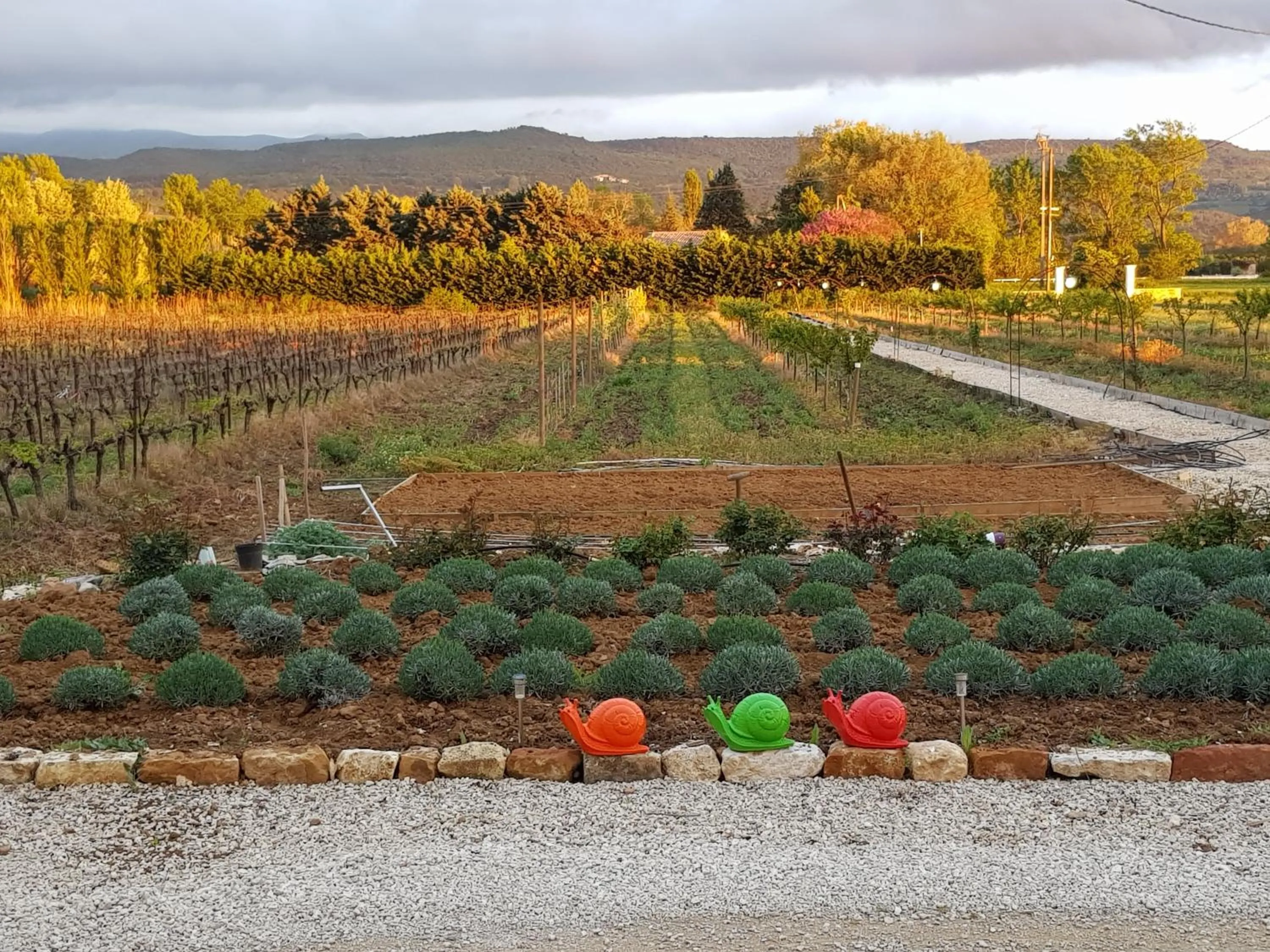 Garden in Chambres & Tables d'hôtes Moulin de Lavon