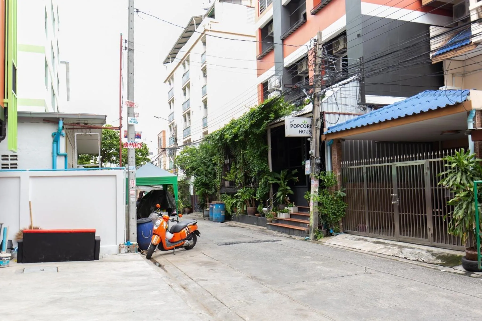 Neighbourhood in Mango 10 House