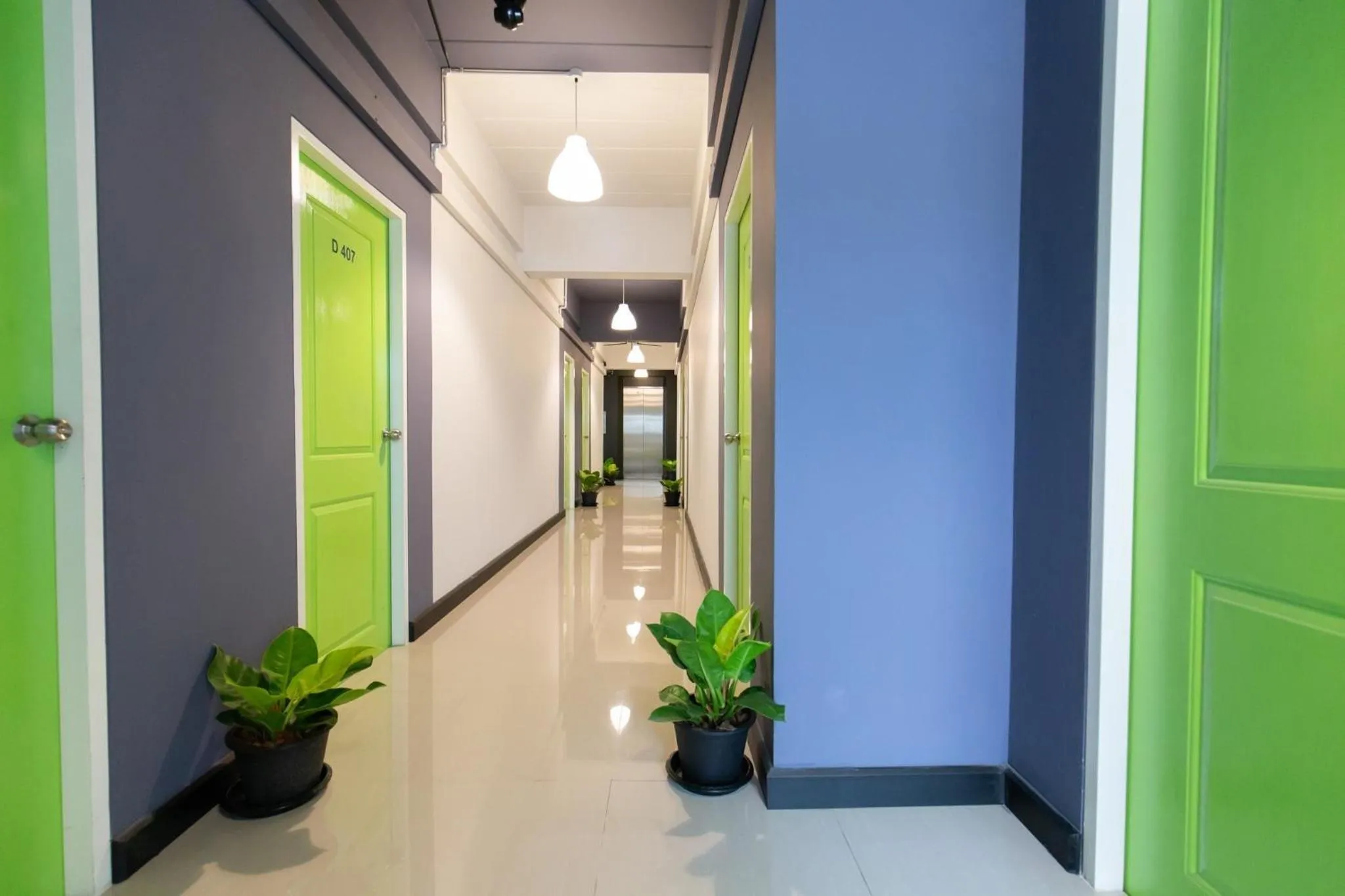 Area and facilities in Mango 10 House