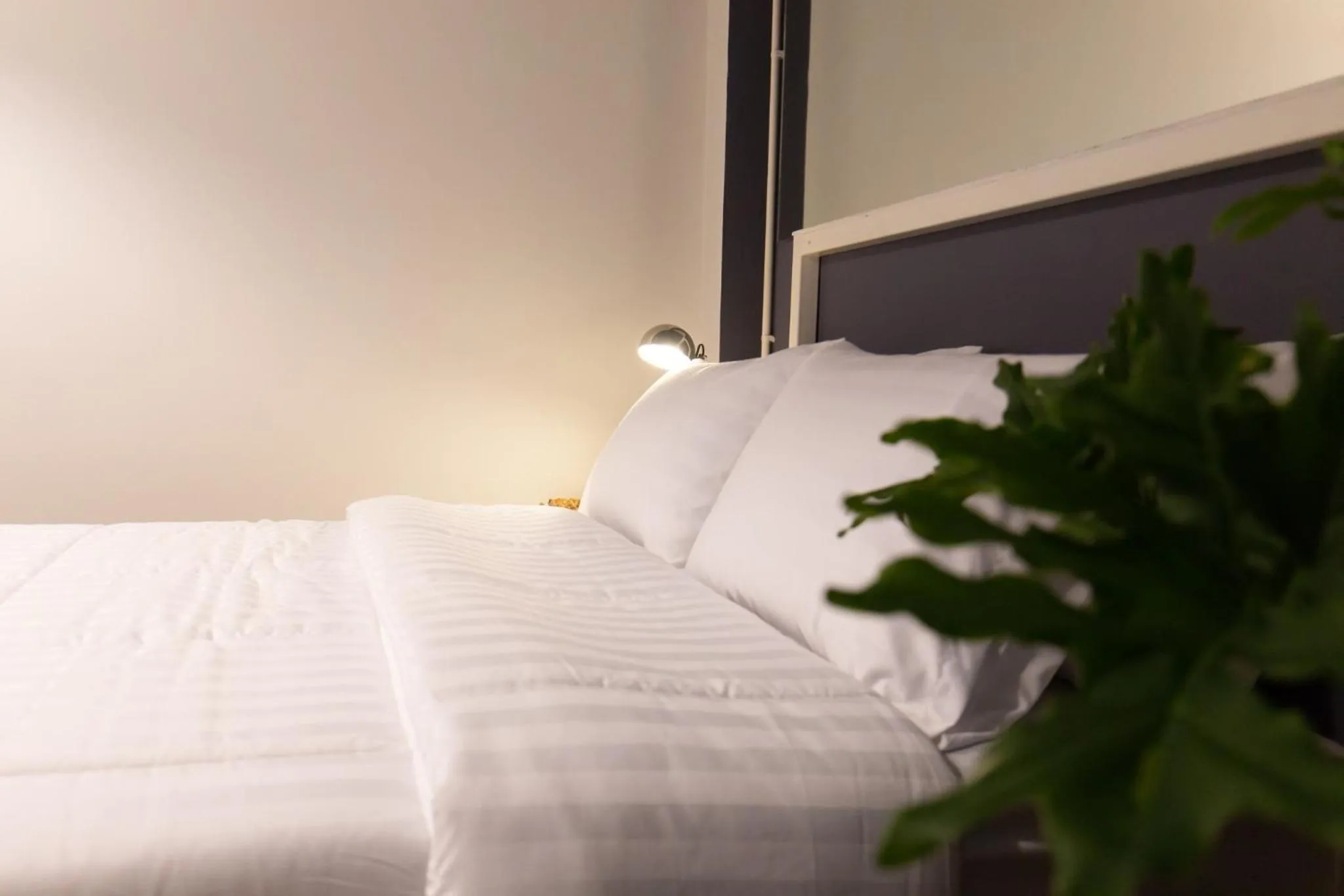 Bed in Mango 10 House