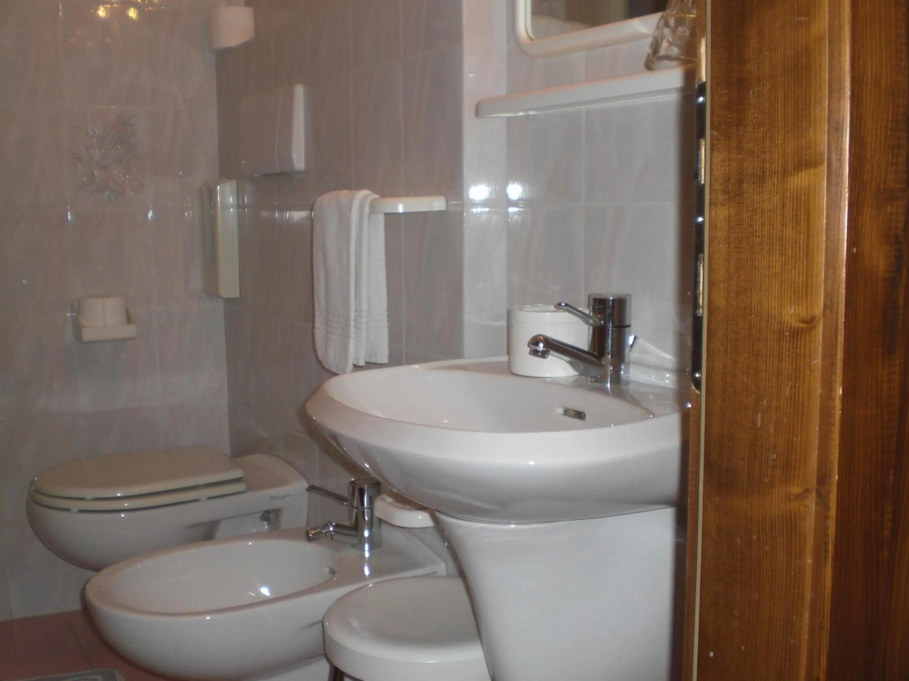 Bathroom in Hotel Edelweiss