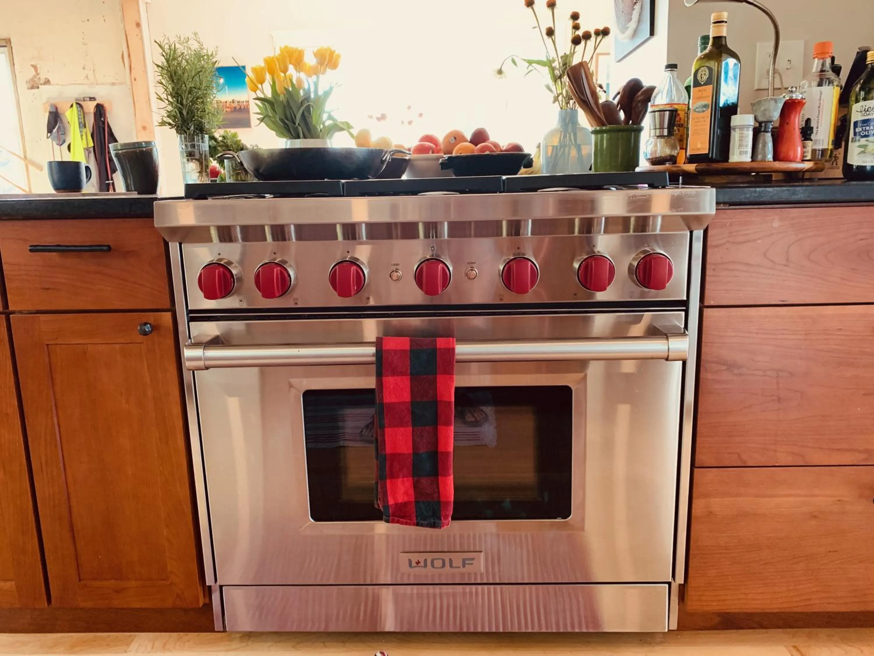 pet friendly in 62 Views