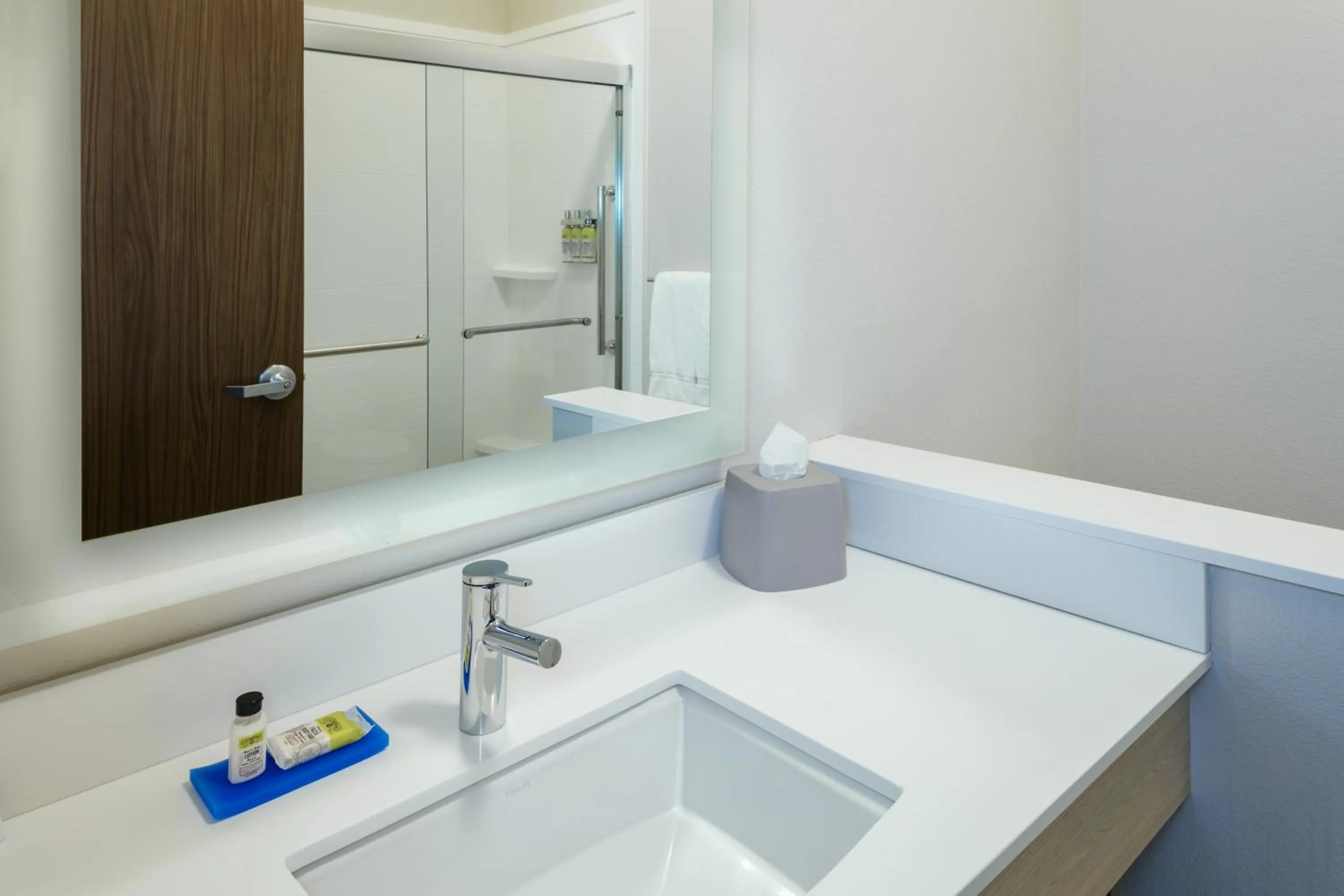 Shower in Holiday Inn Express & Suites - Medford by IHG