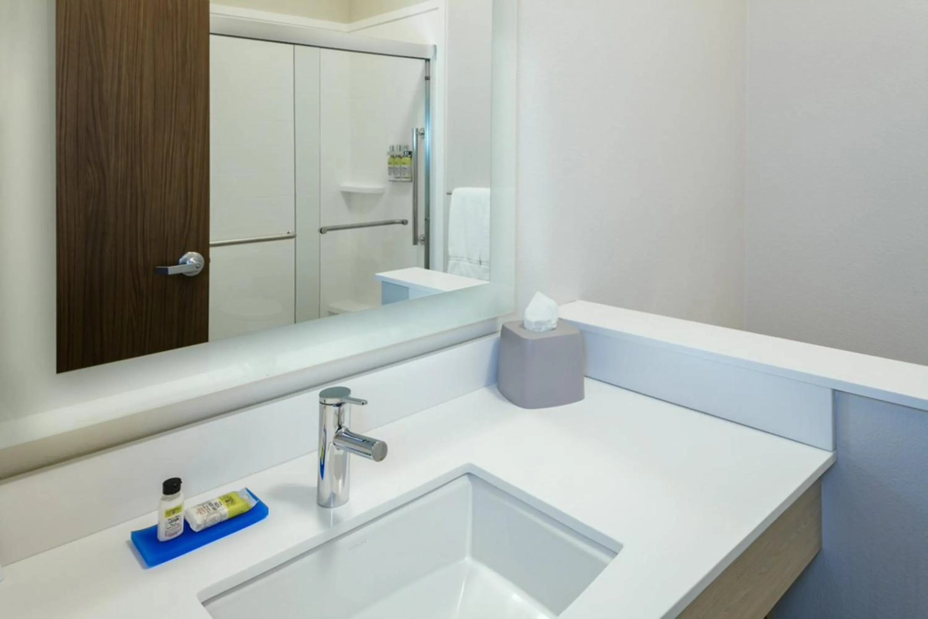Bathroom in Holiday Inn Express & Suites - Medford by IHG