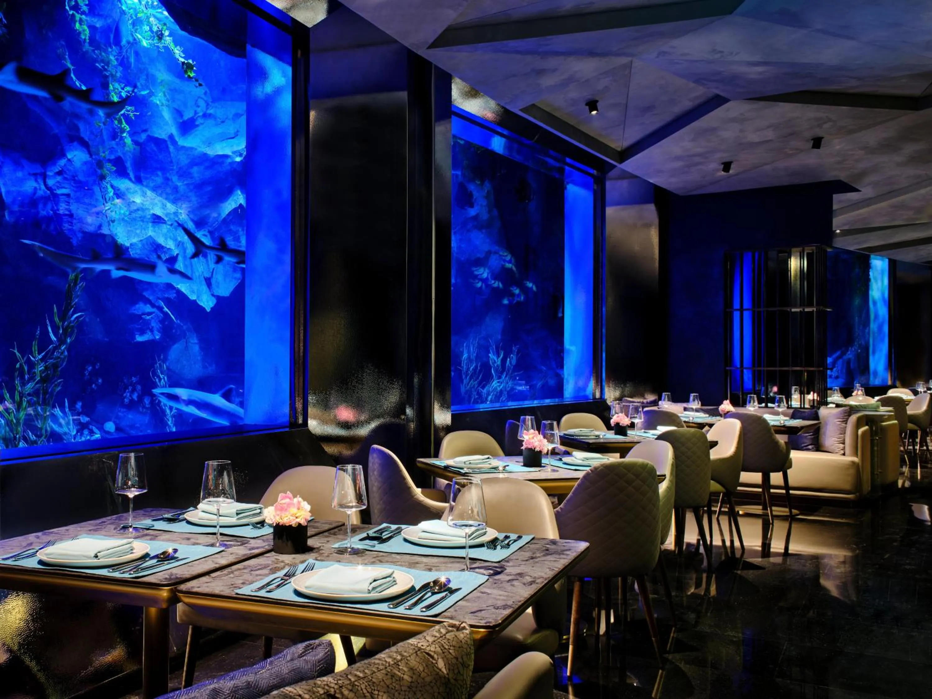 Restaurant/places to eat in InterContinental Shanghai Wonderland, an IHG Hotel