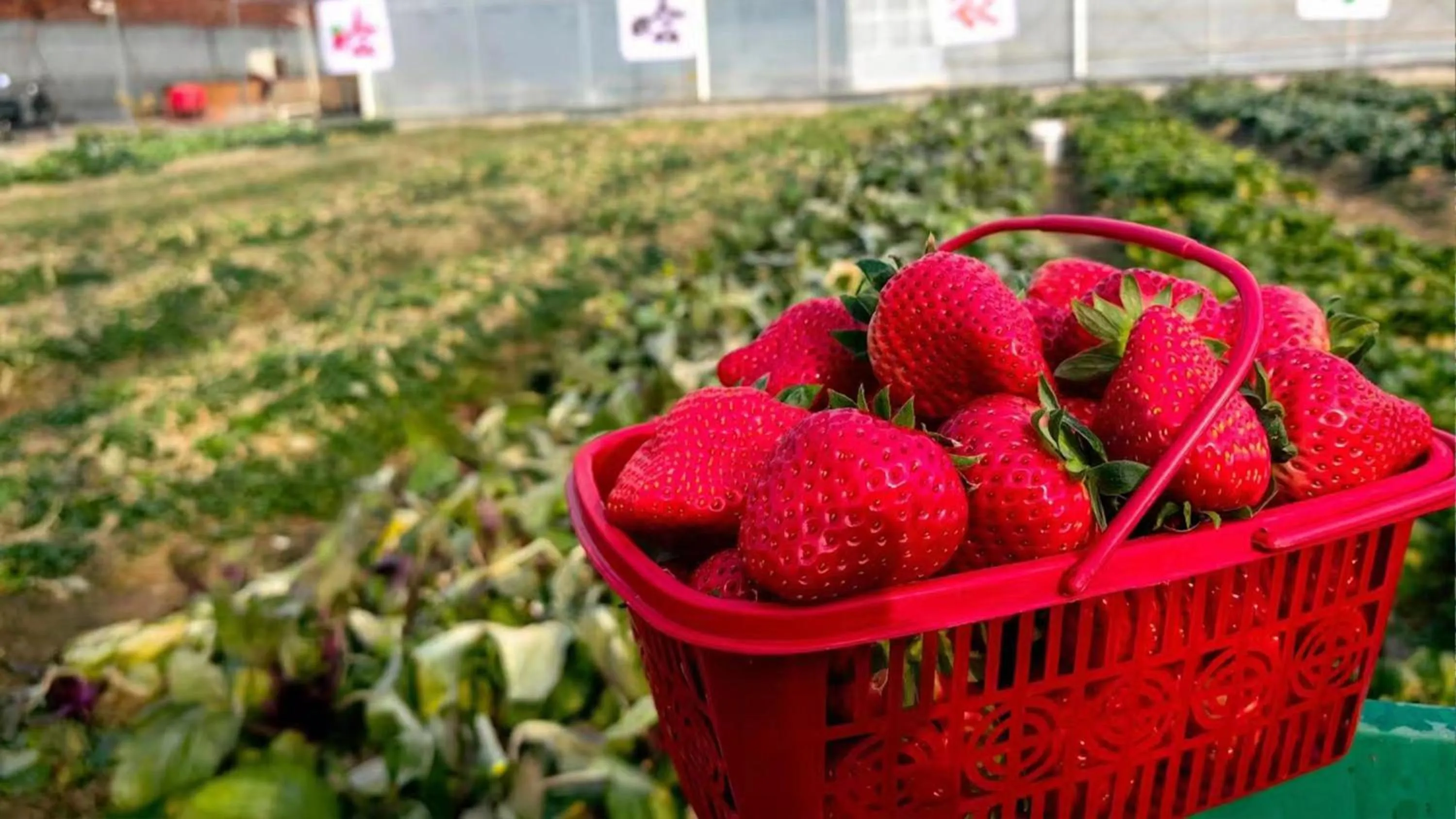 Nearby landmark in InterContinental Shanghai Wonderland, an IHG Hotel