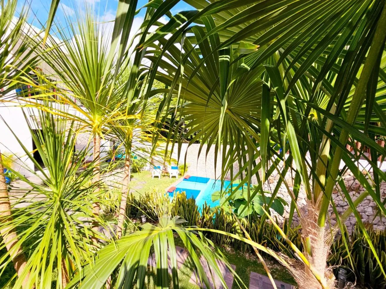Garden view in Mayan Majesty Boutique Hotel