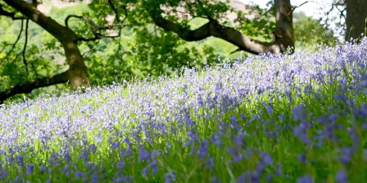 Property building in Brathay Hall - Brathay Trust