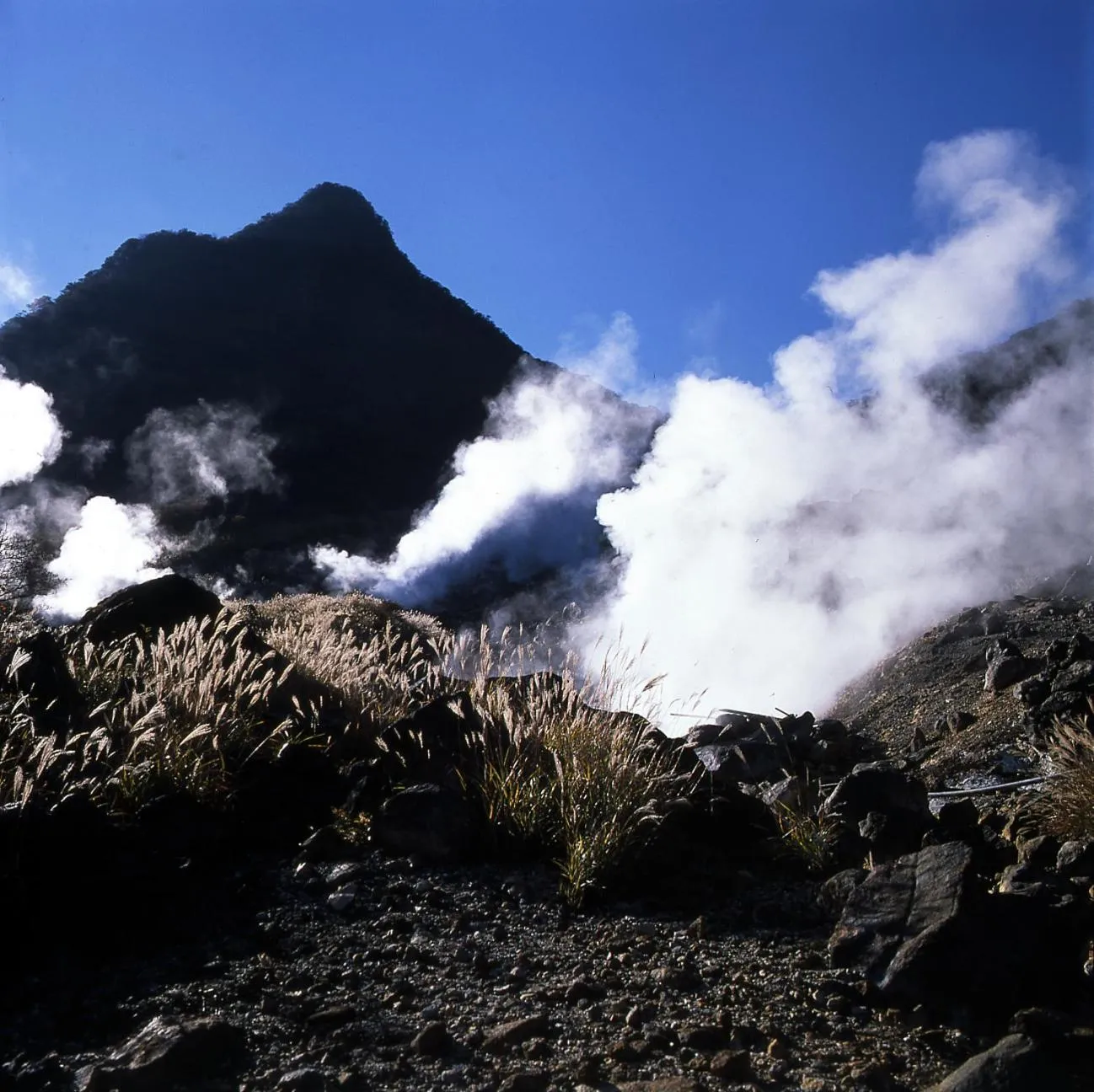 Natural landscape in Taisho Modern Villa Zen