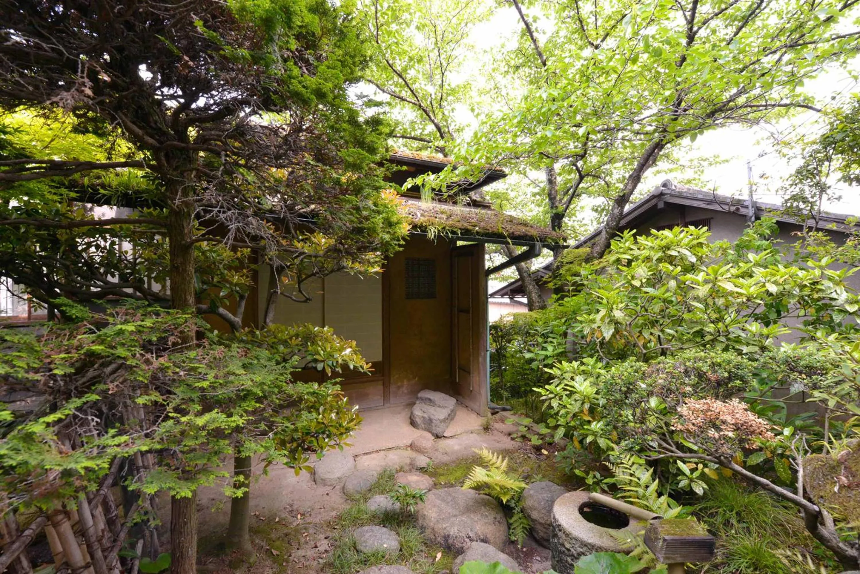 Area and facilities in Bingoya