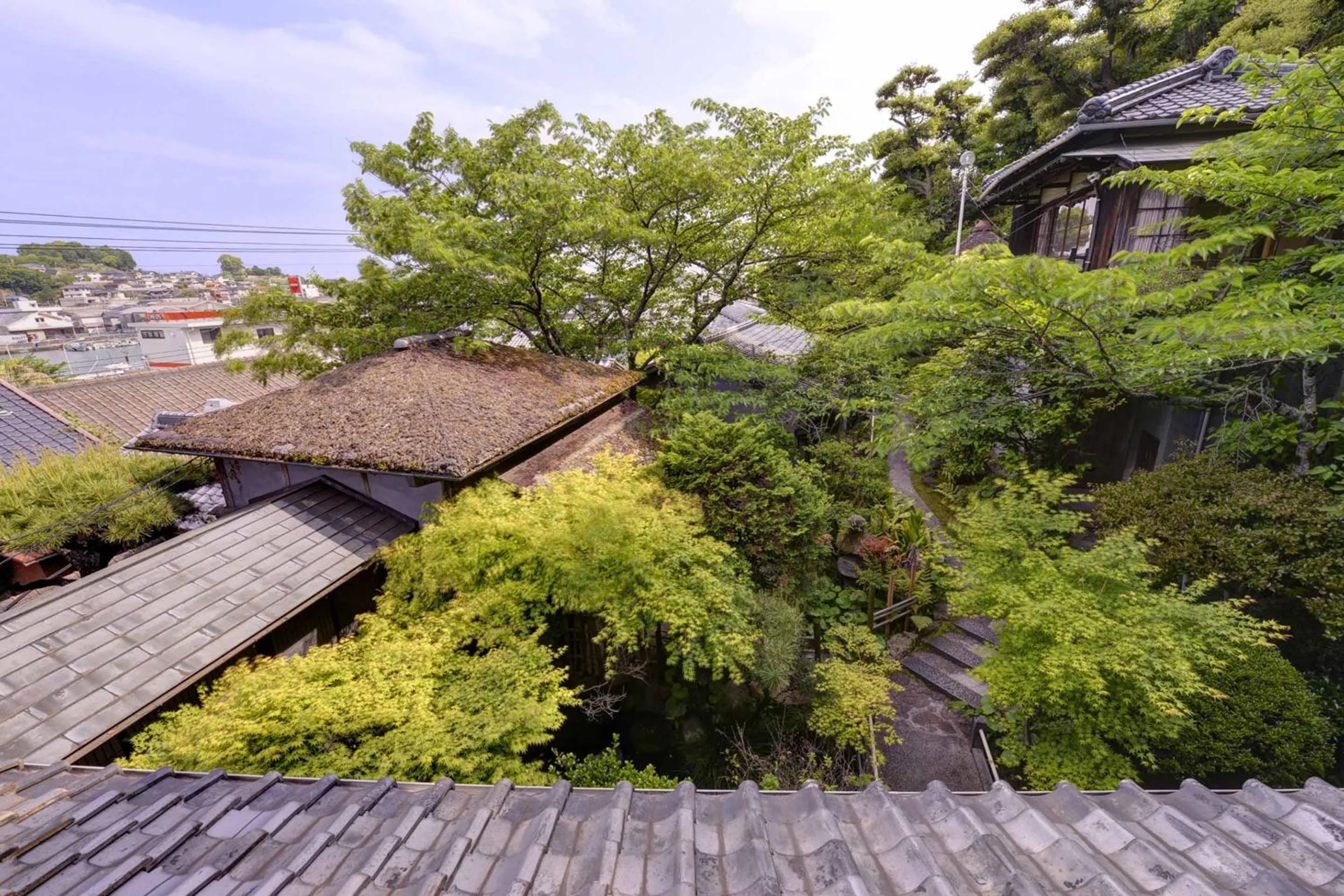 Garden view in Bingoya