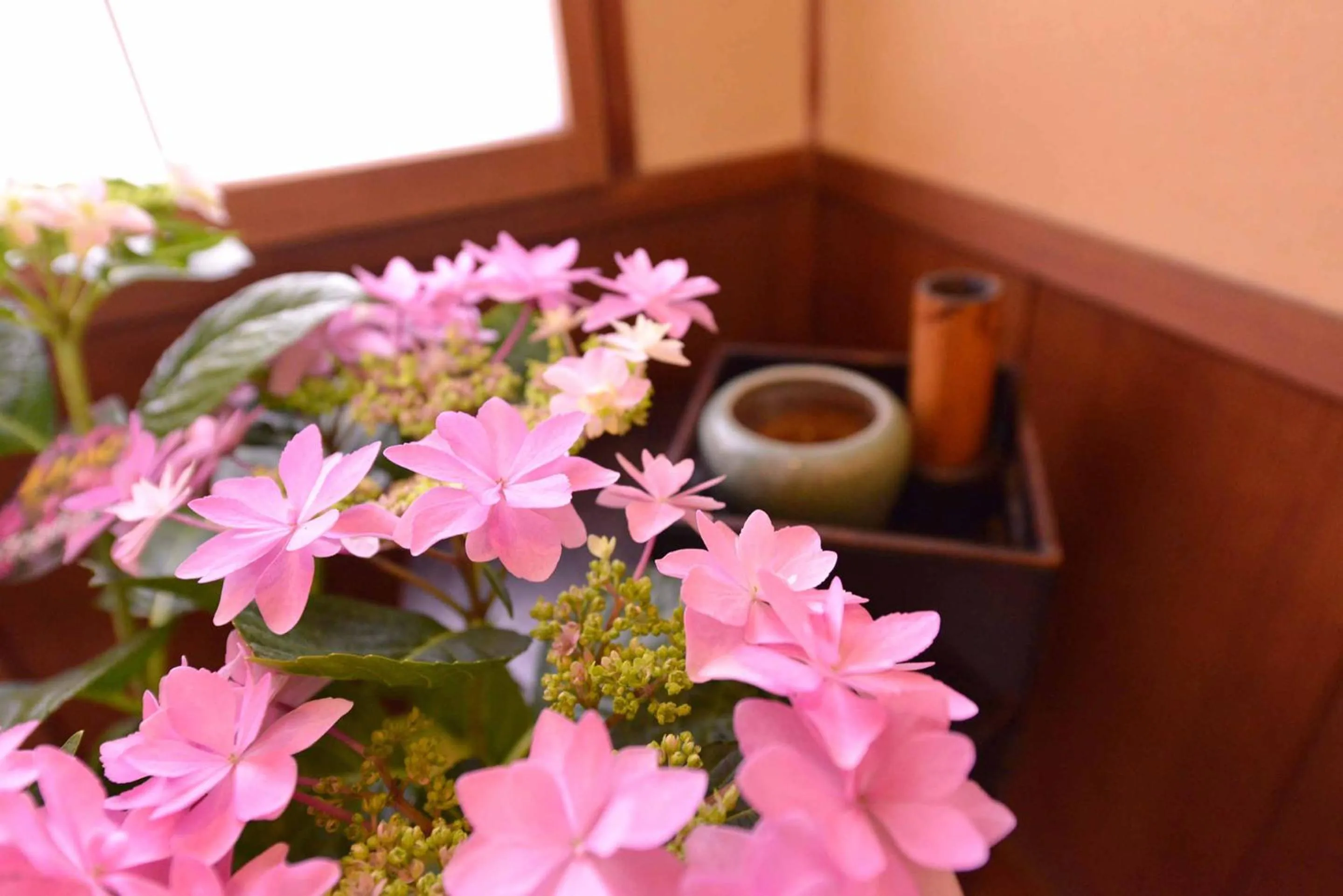 Decorative detail in Bingoya