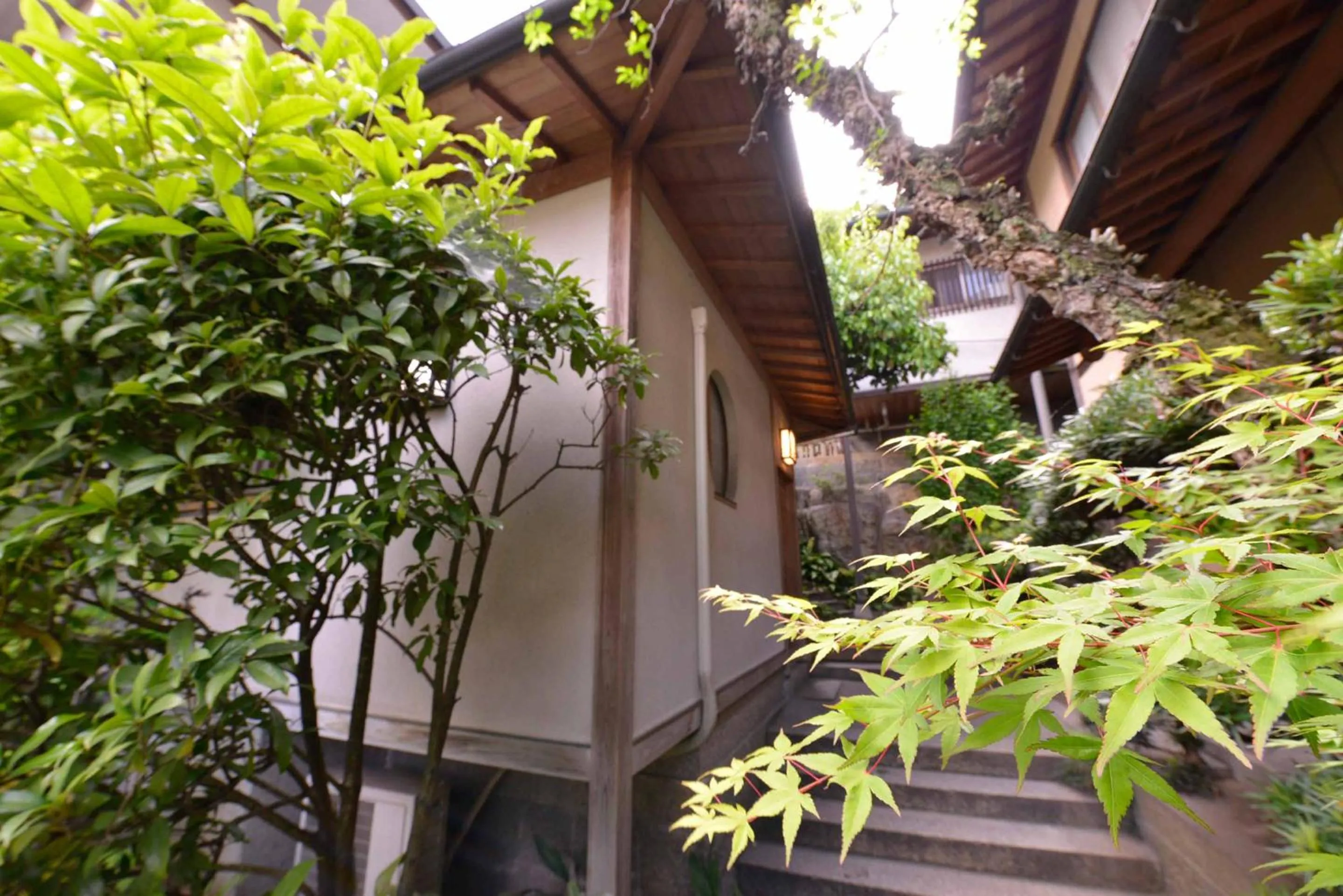 Hot Spring Bath in Bingoya