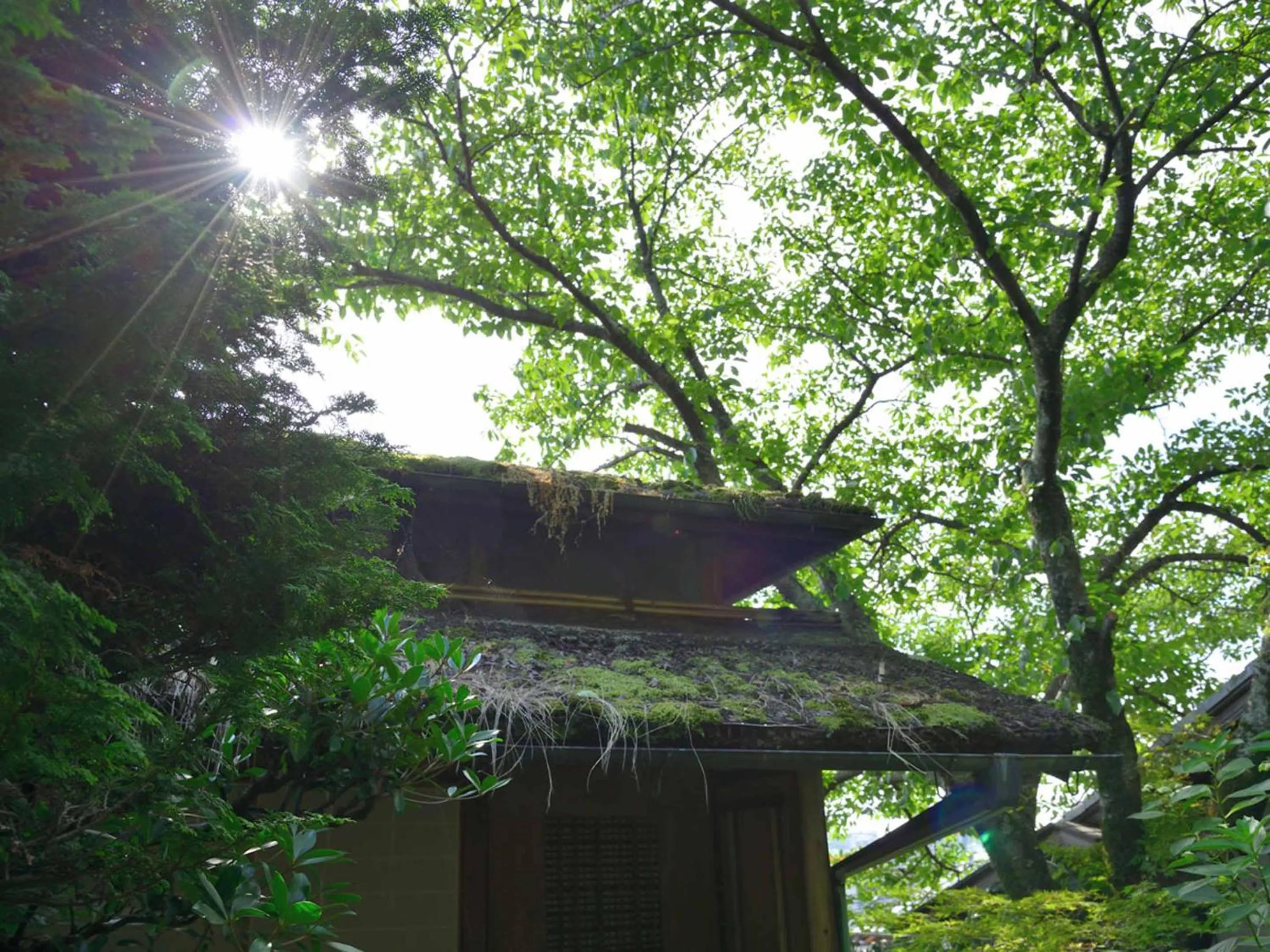 Area and facilities in Bingoya