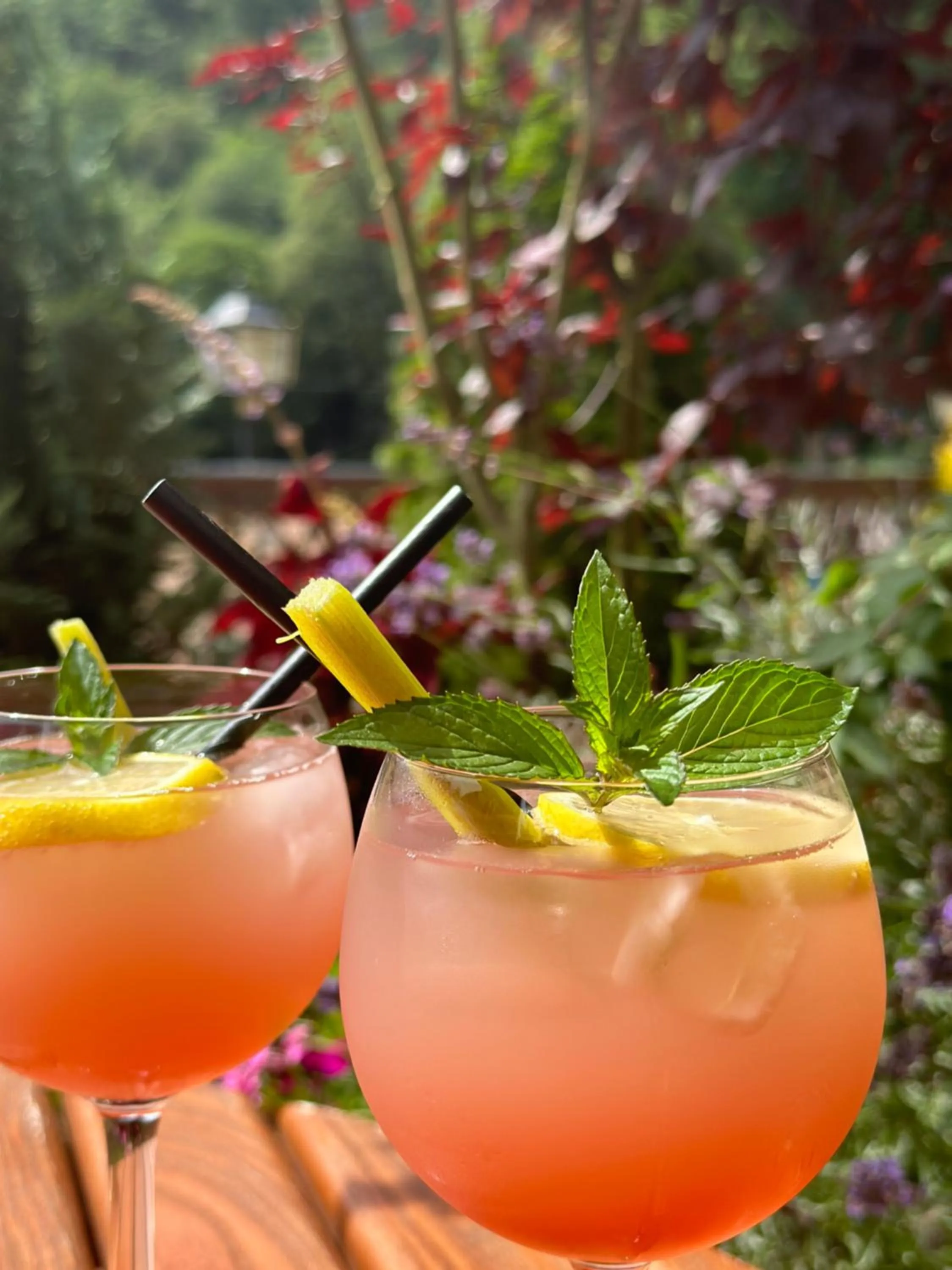 Restaurant/places to eat in Hotel Forsthaus