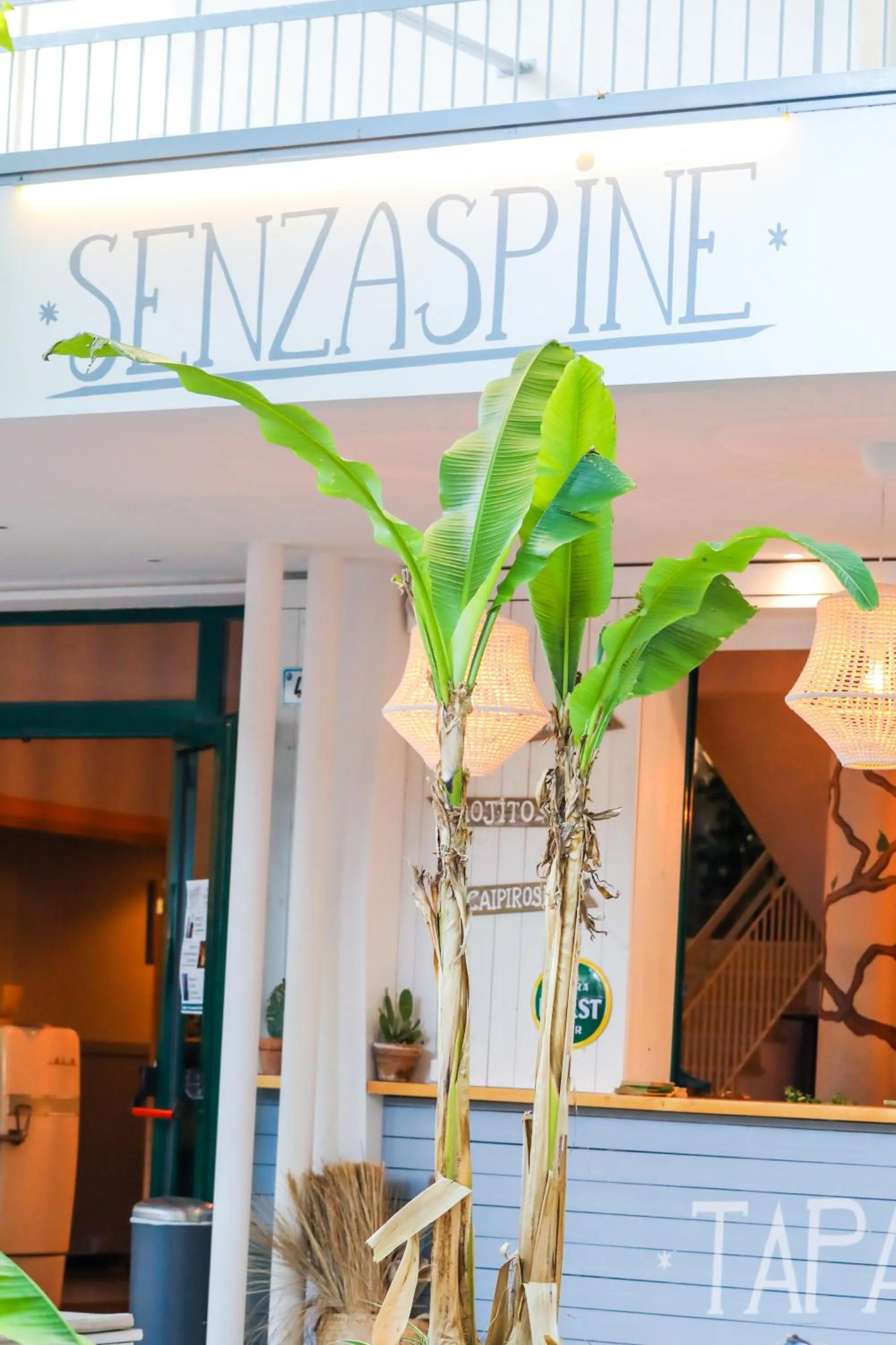 Facade/entrance in Hotel Doria