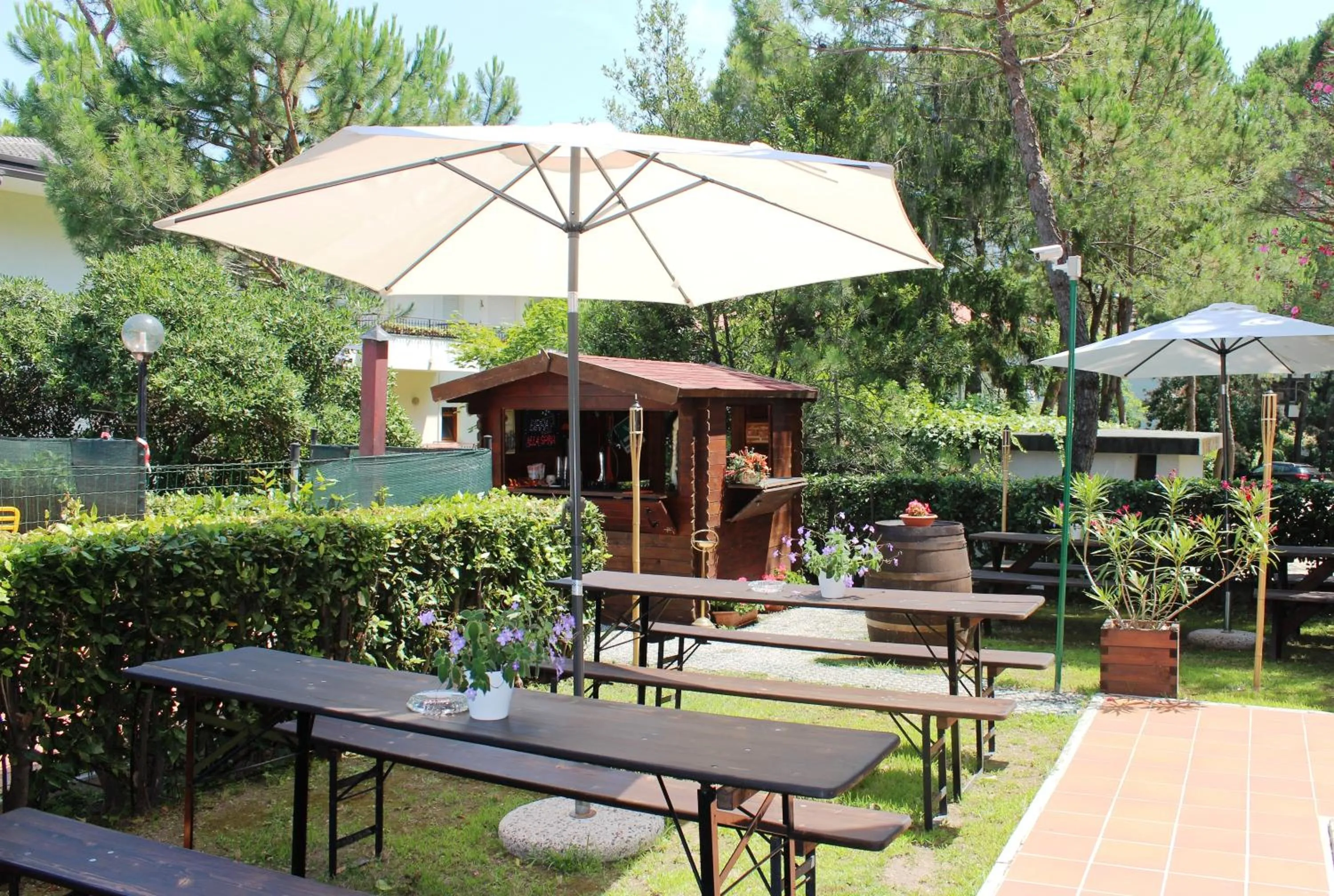 Garden in Hotel Eden