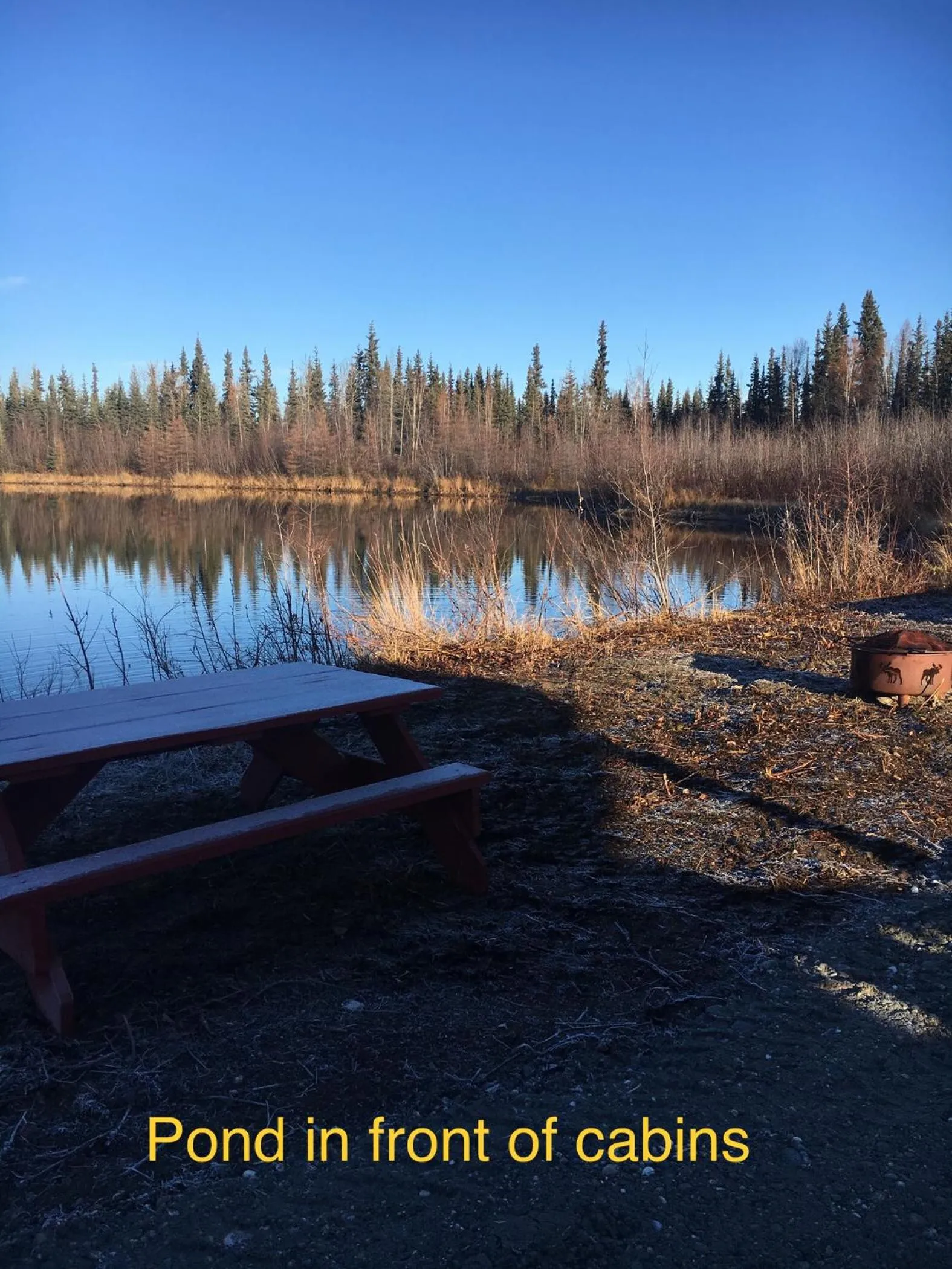 Alaska Log Cabins on the Pond
