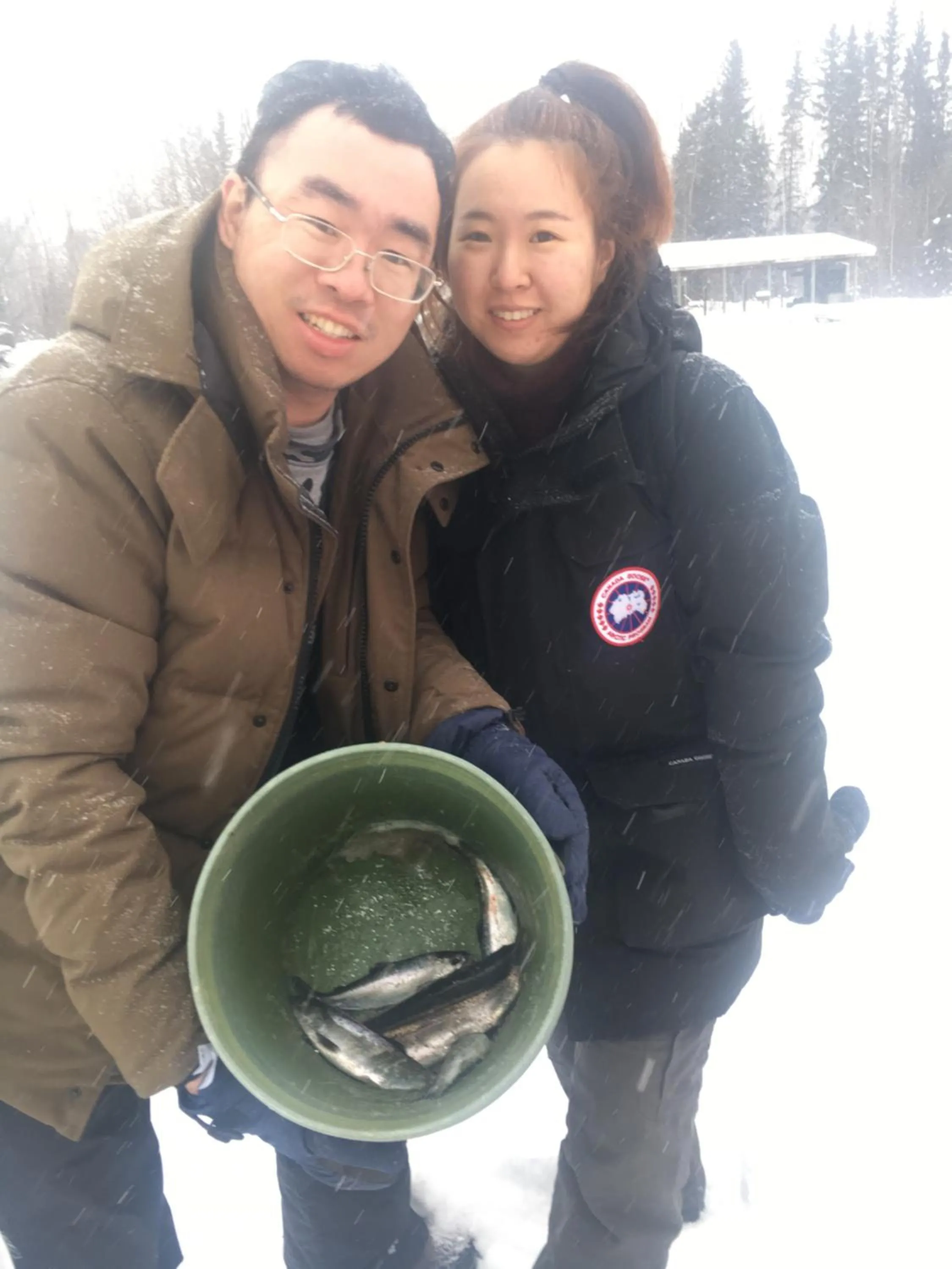 Alaska Log Cabins on the Pond