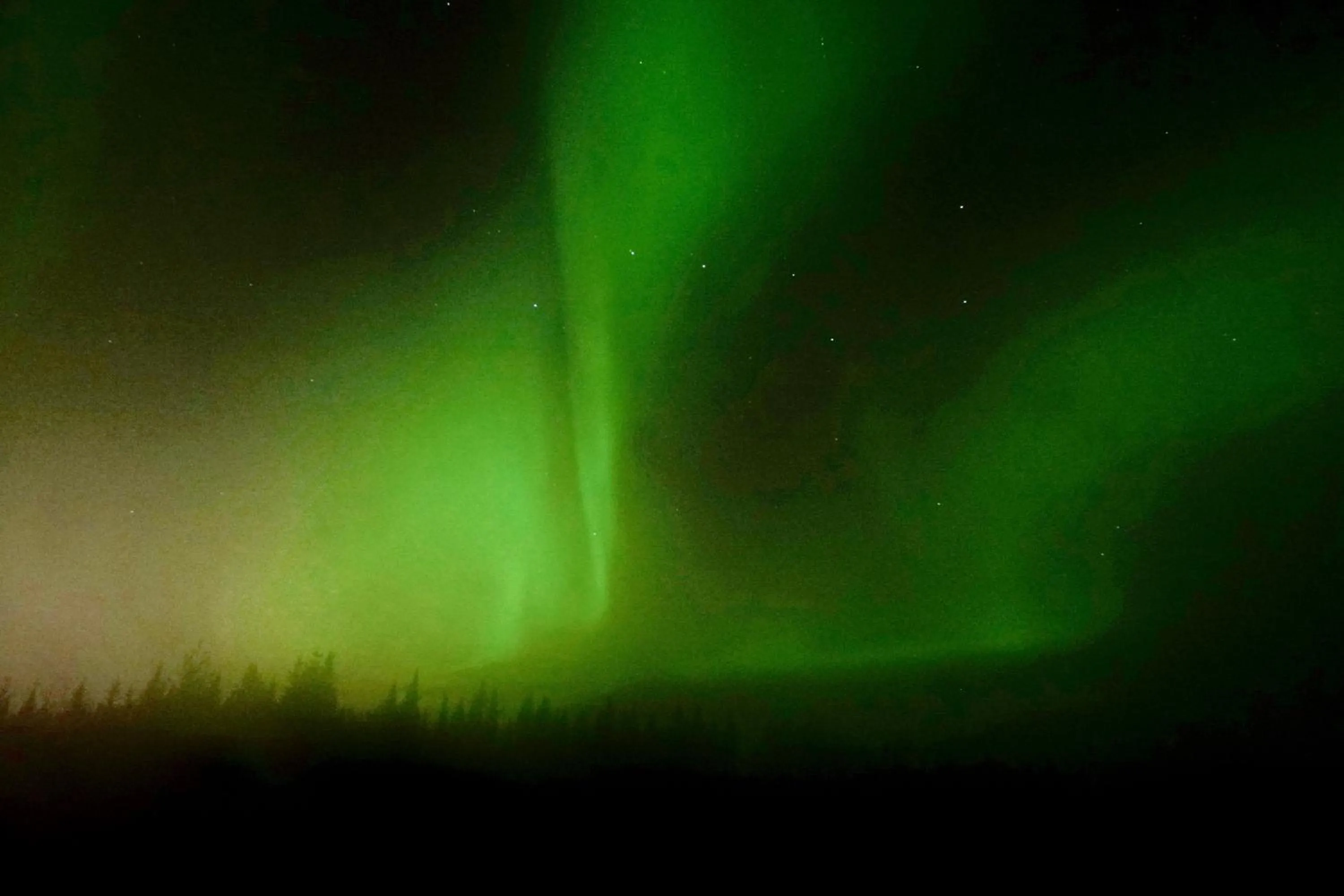 Alaska Log Cabins on the Pond