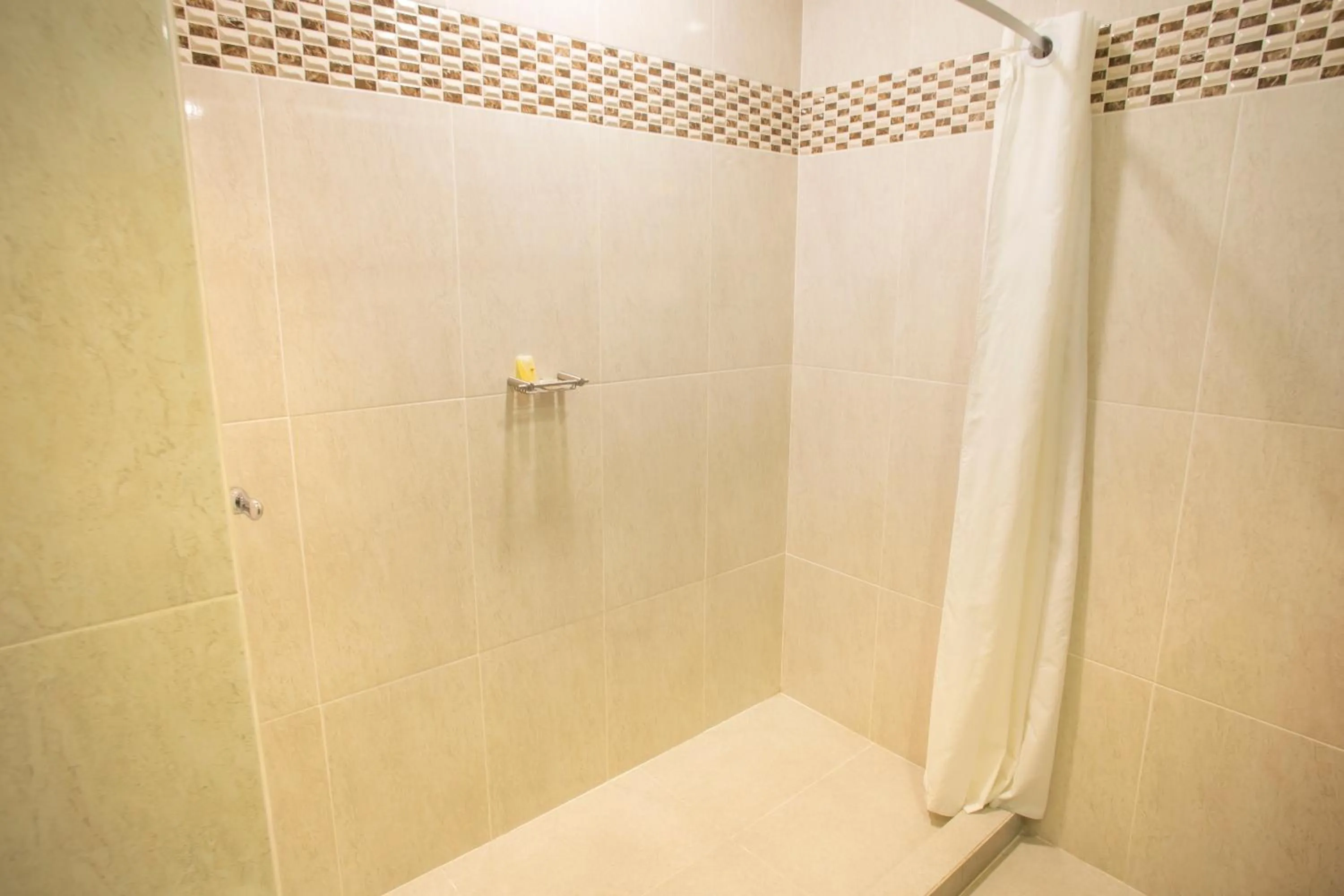 Shower in Hotel Plaza Calzada